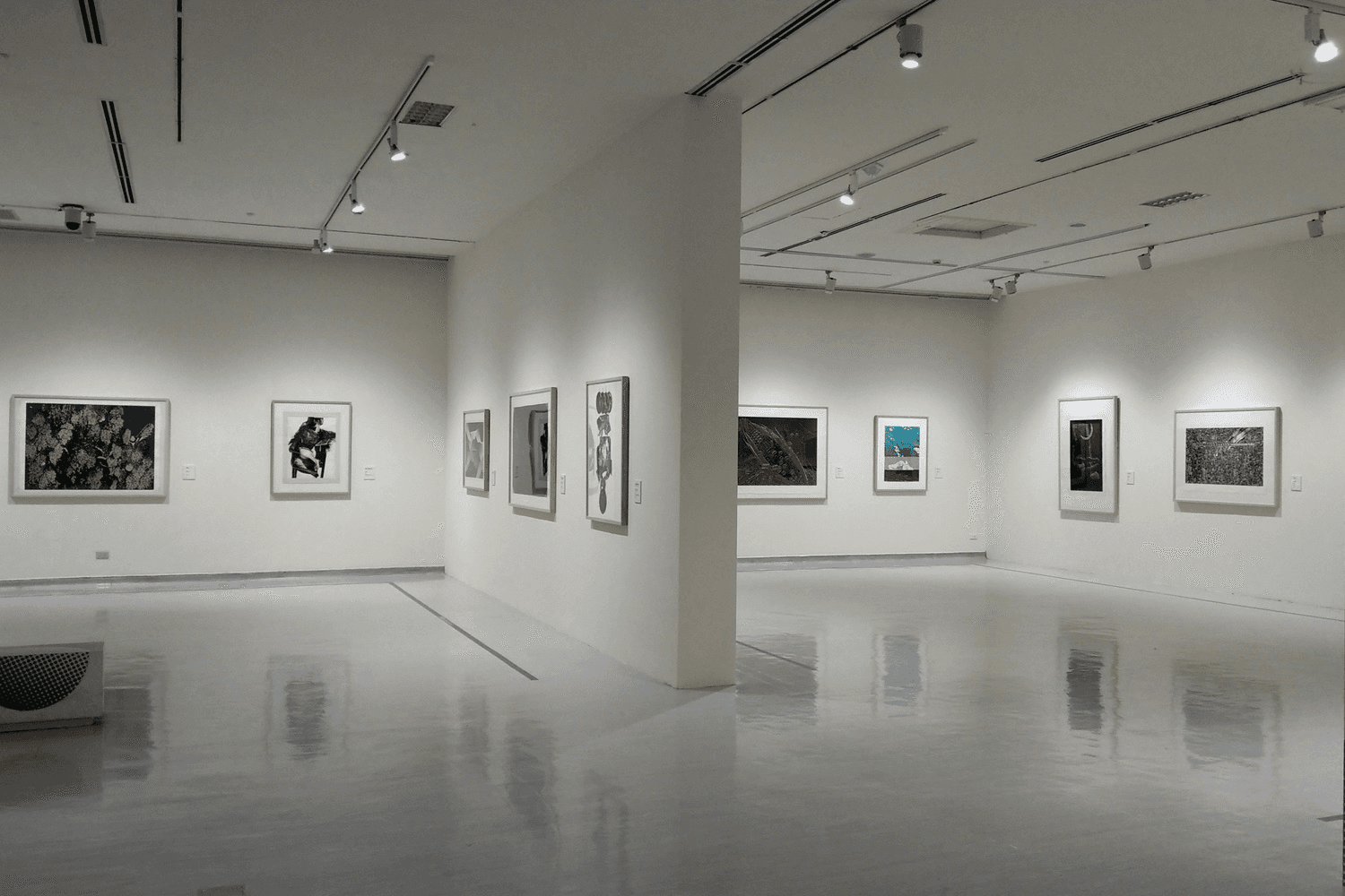 Gagliardi Gallery – 509 King’s Road