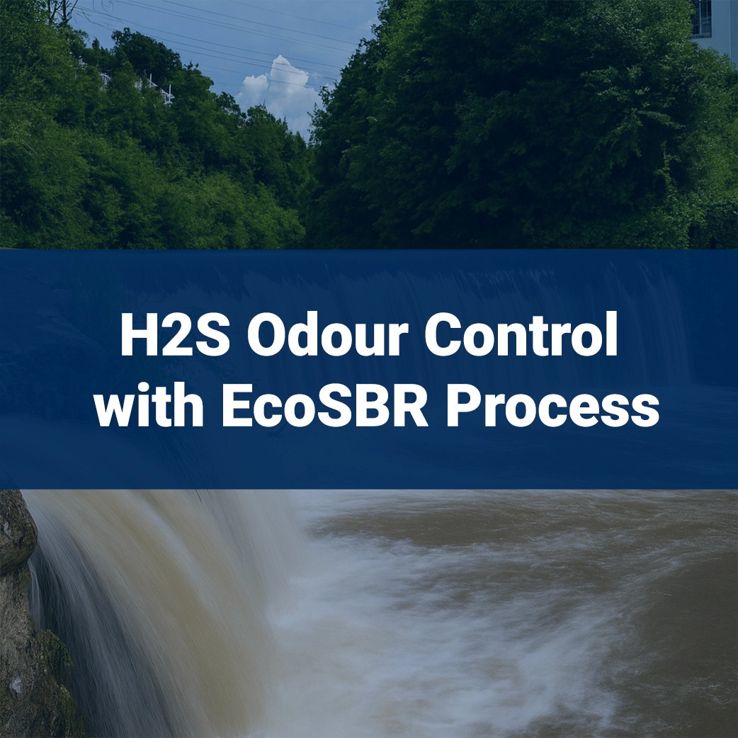h2s odour control with ecosbr process