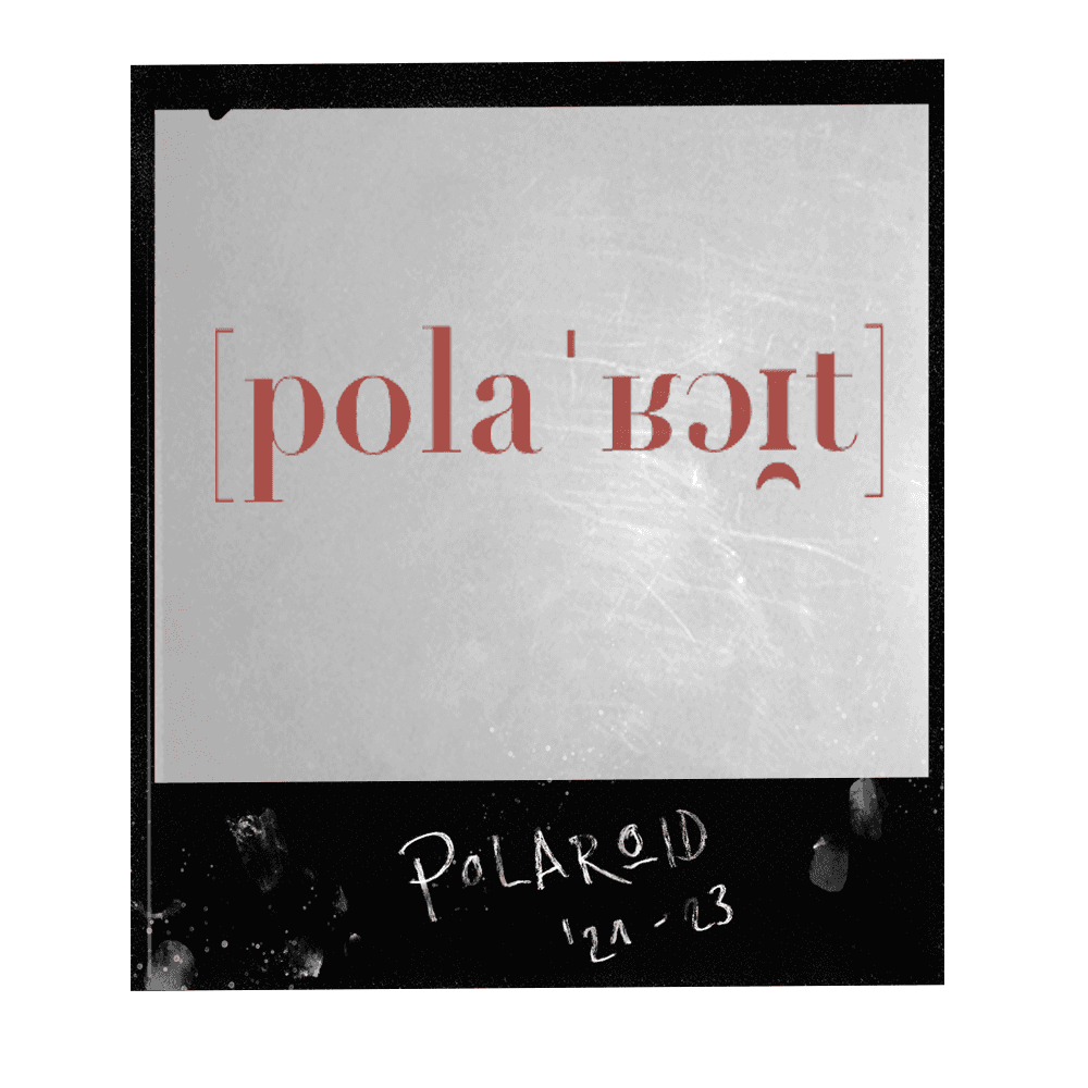polaroid