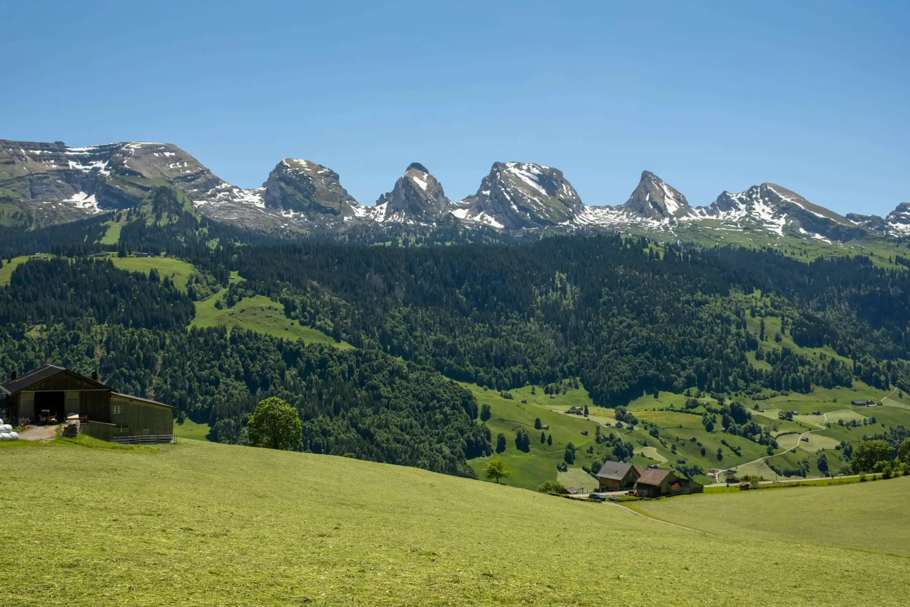 Grüne Wiesen mit verstreuten Bauernhäusern vor bewaldeten Hügeln und schneebedeckten Bergen.