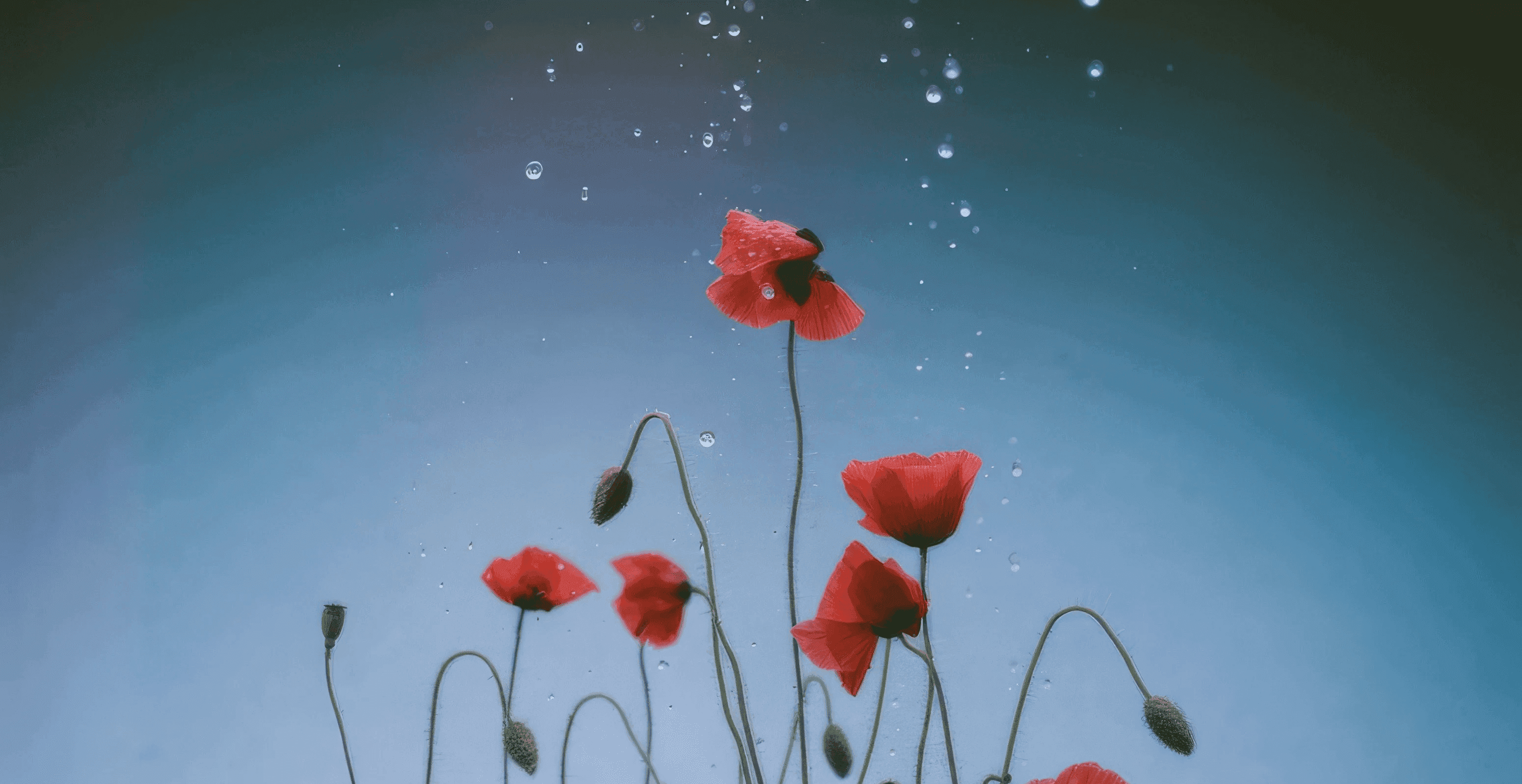 A person sits at a cluttered desk with blurred motion, surrounded by books and art, in a softly lit, creative workspace.