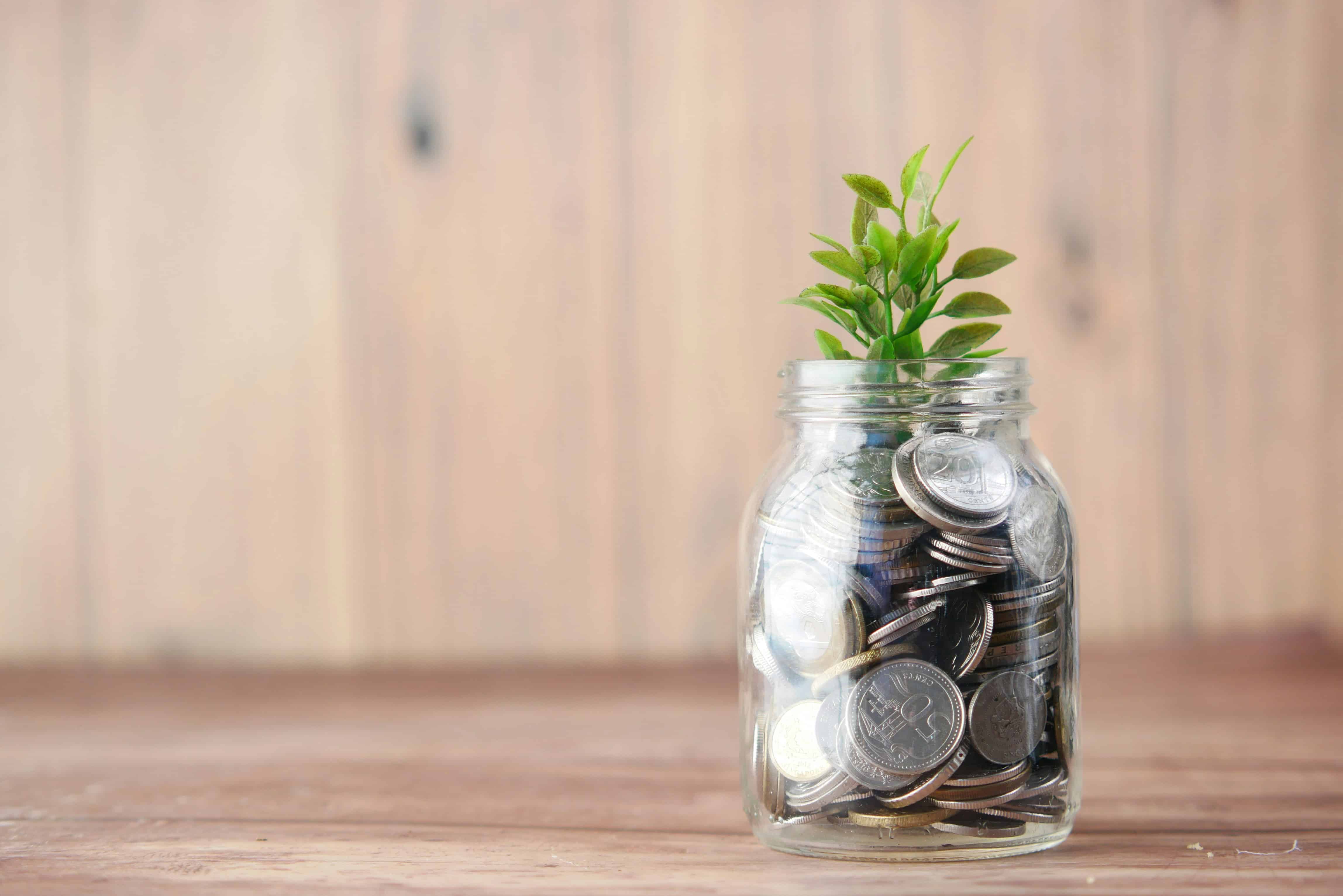 Jar containing coins and a plant, indicating financial savings