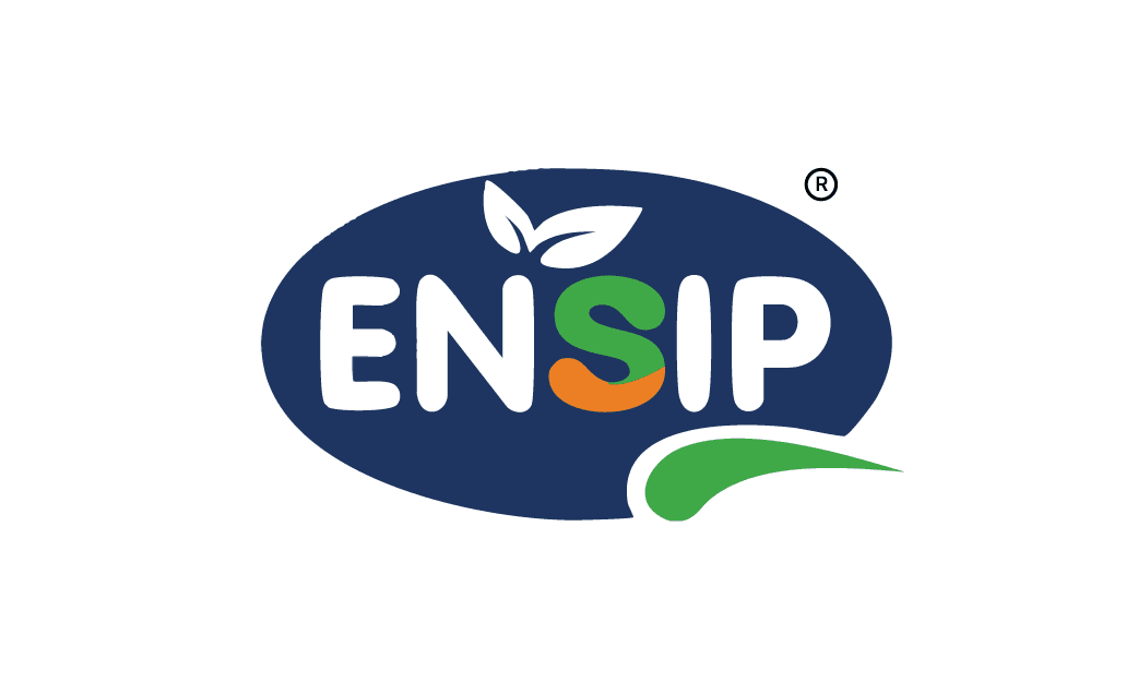 profile image of Roaa Alhaj Saleh