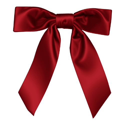 a velvet bow