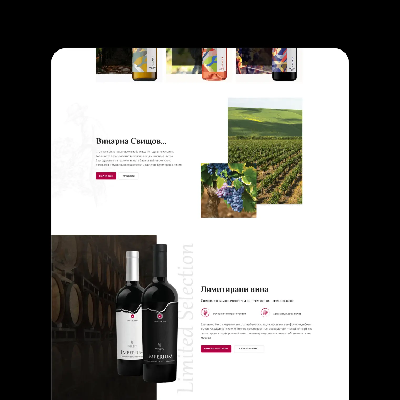 Shishtov Winery and Pansyer | Case Study