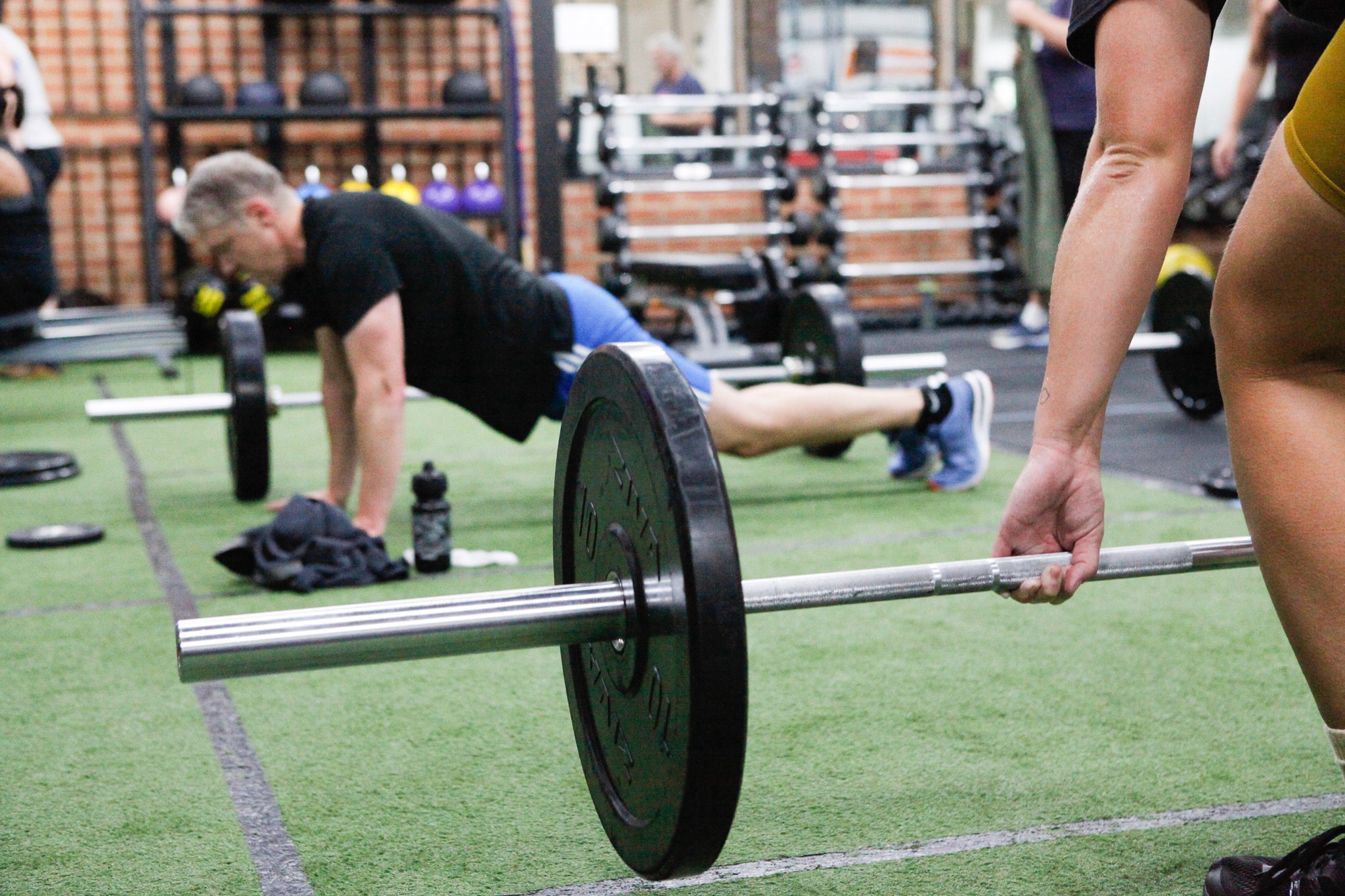 Path winding through a field of pink flowers