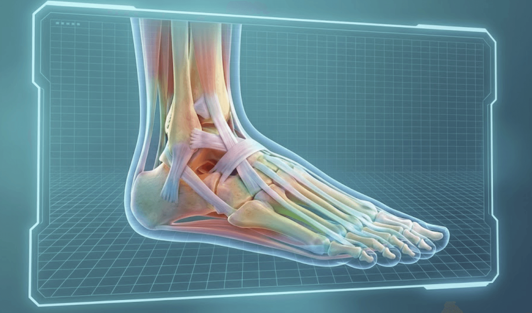 3d futuristic image of ankle