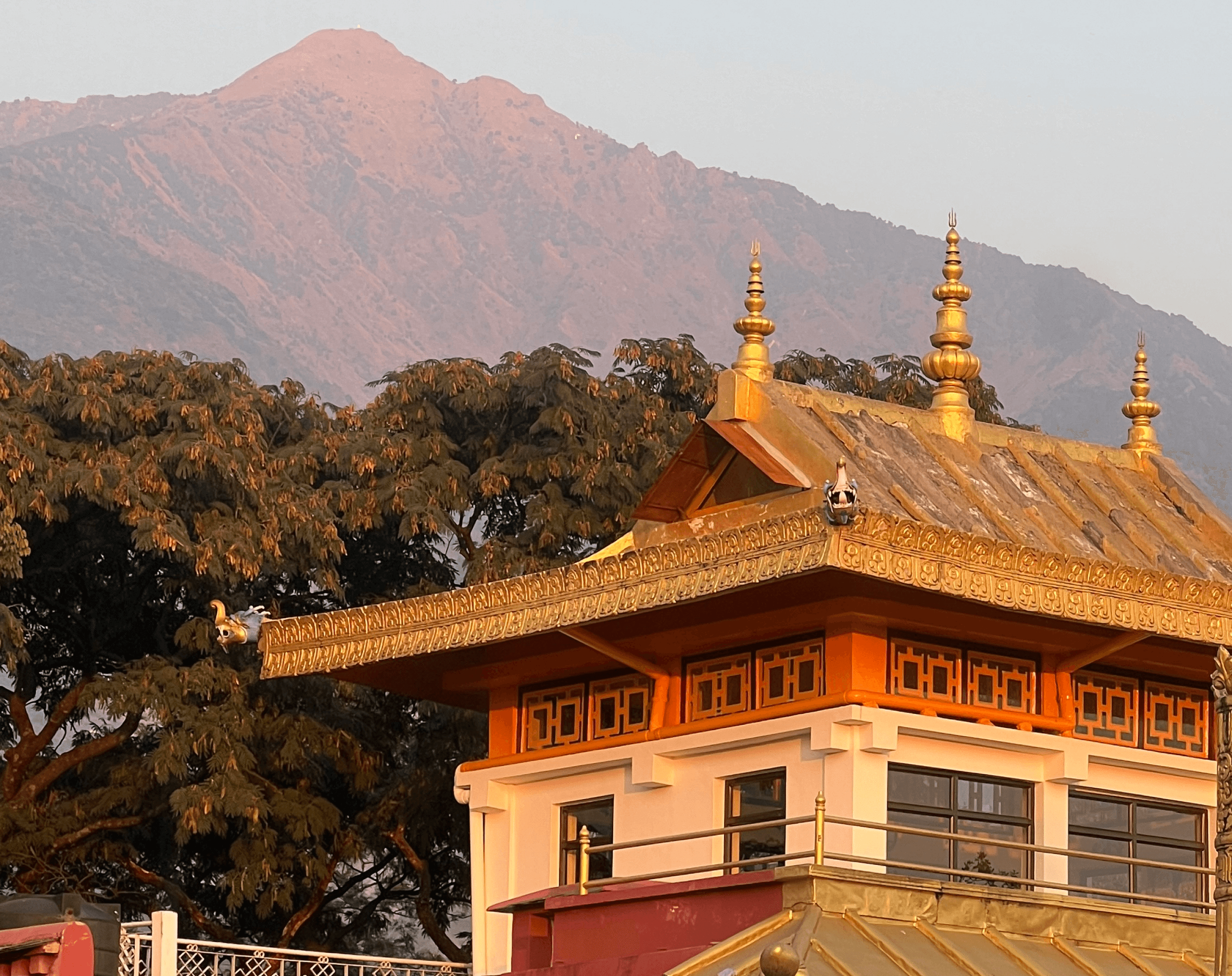 Pink sunset with the view to Hymalayan mountain in Himachal pradesh Dharamshala India. India tour to Dharamshala retreat to India to learn about buddhism at Norbulingka institute rooftop. You can learn about tibetan art and culture 