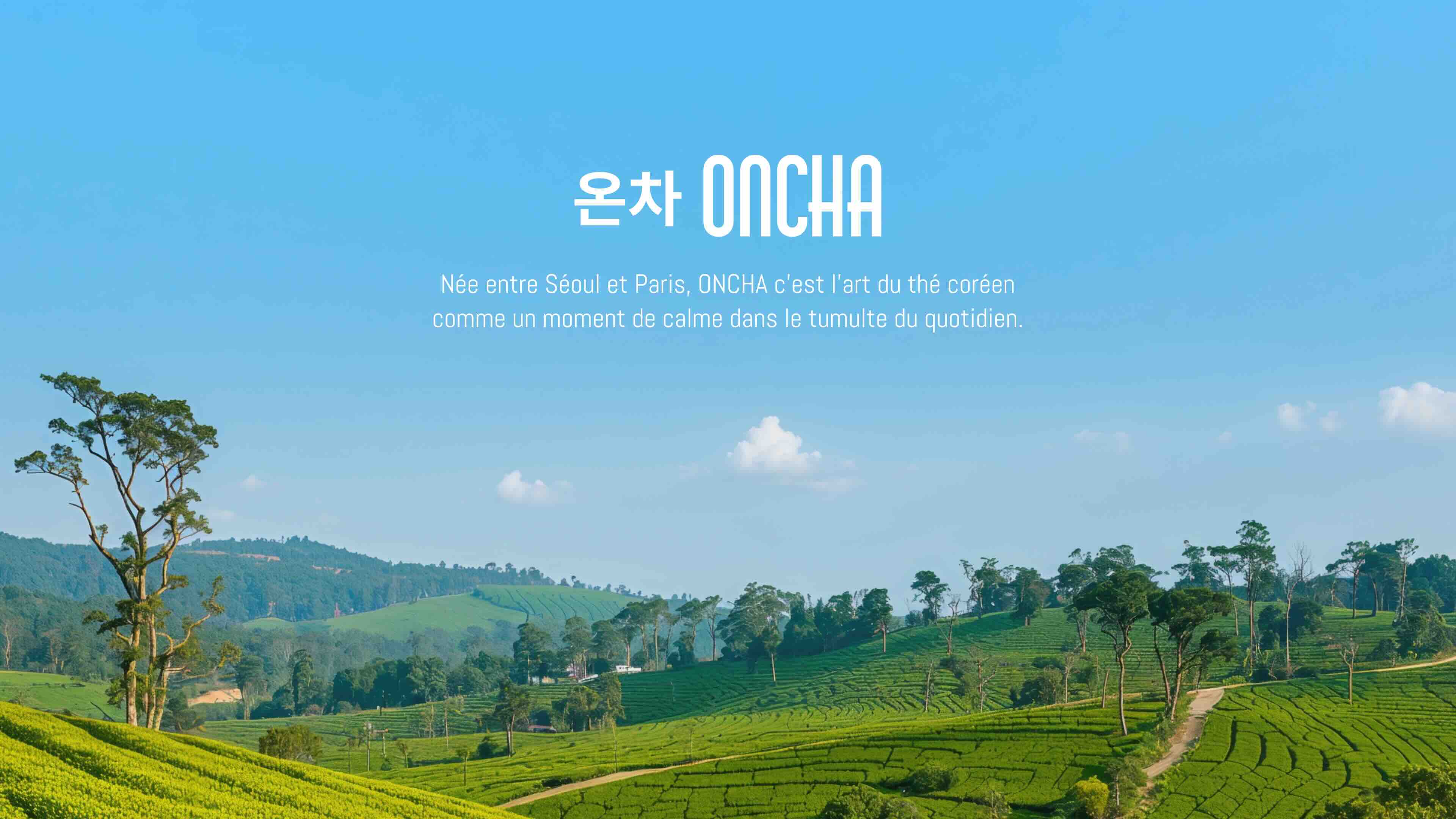 Athlete in a black sports bra and shorts running outdoors under a clear blue sky, with bold red text reading "pyra." across the image.