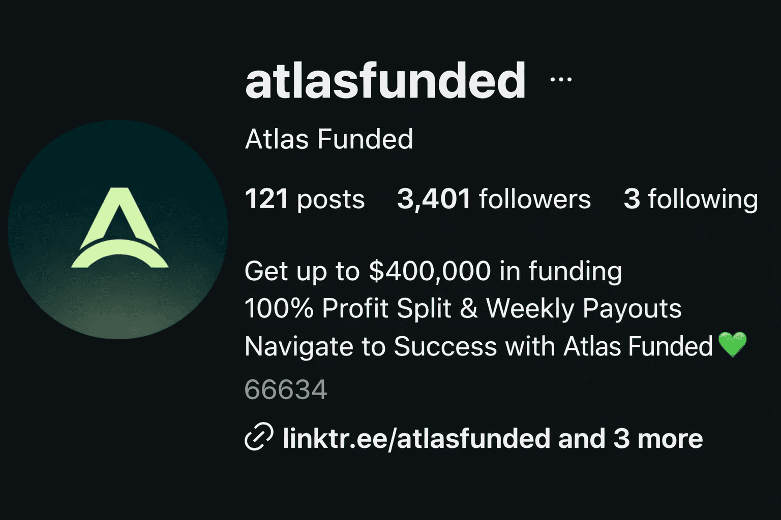 Dog sitting on gravel path