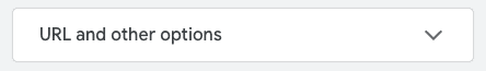 Google ads URL and other options