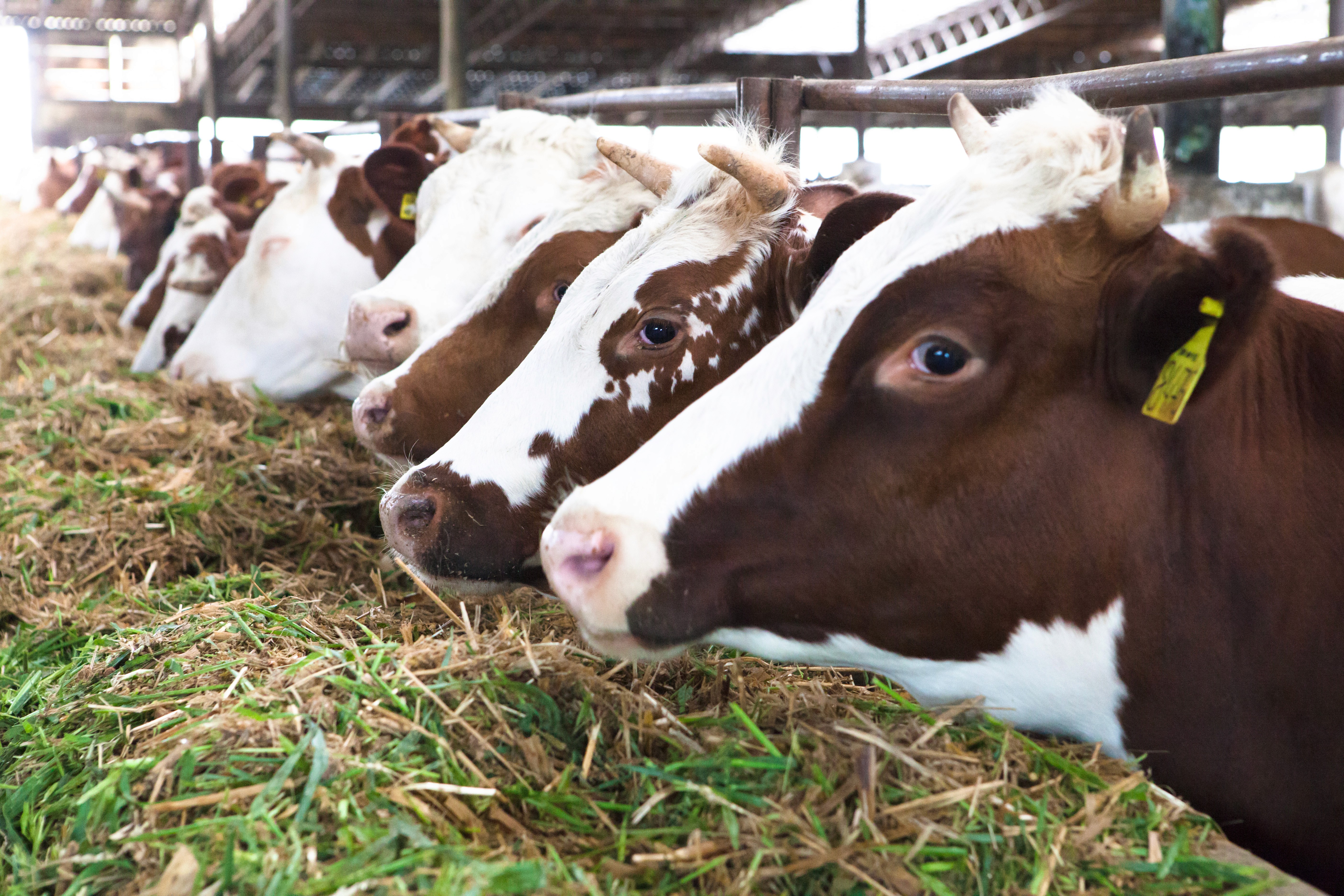 Shot of modern buildings