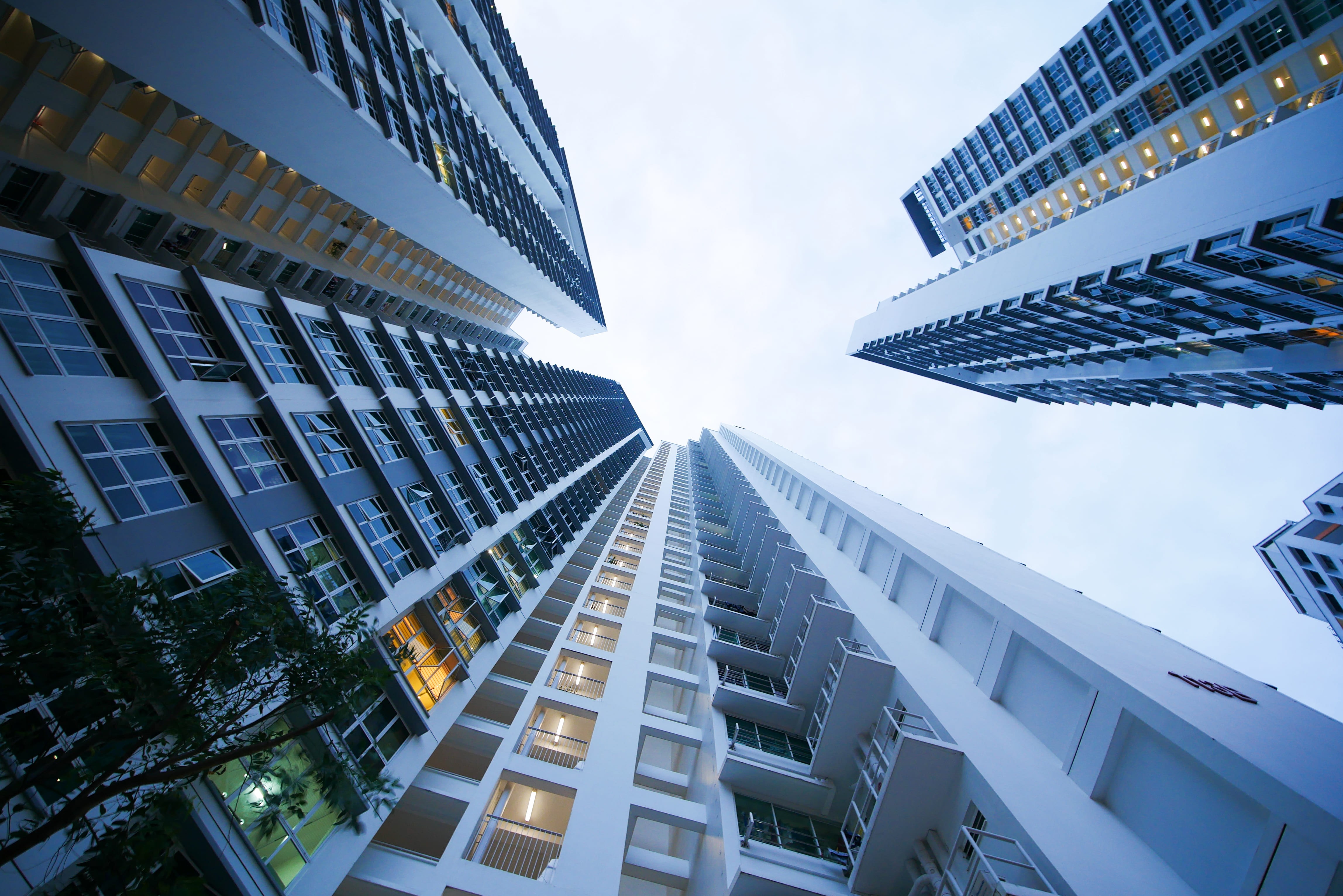 Real Estate & Development: