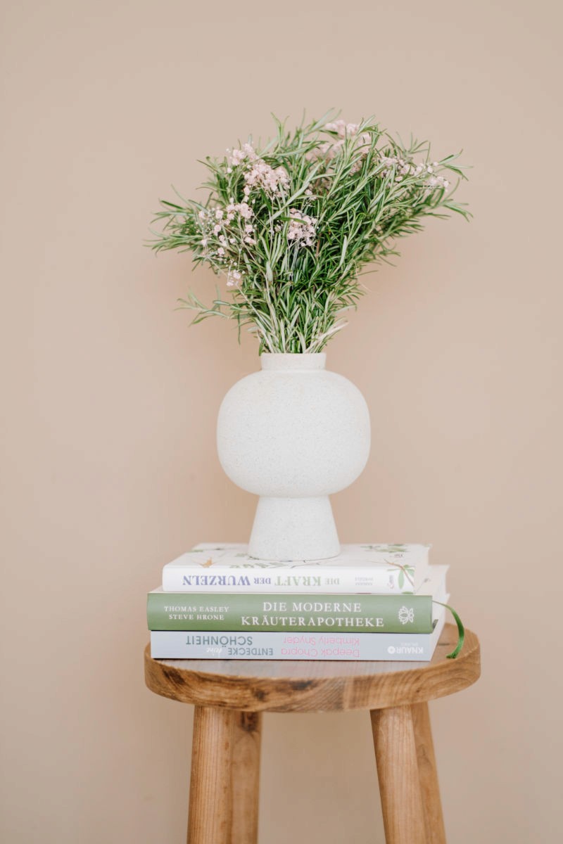Vase mit Pflanze auf Büchern