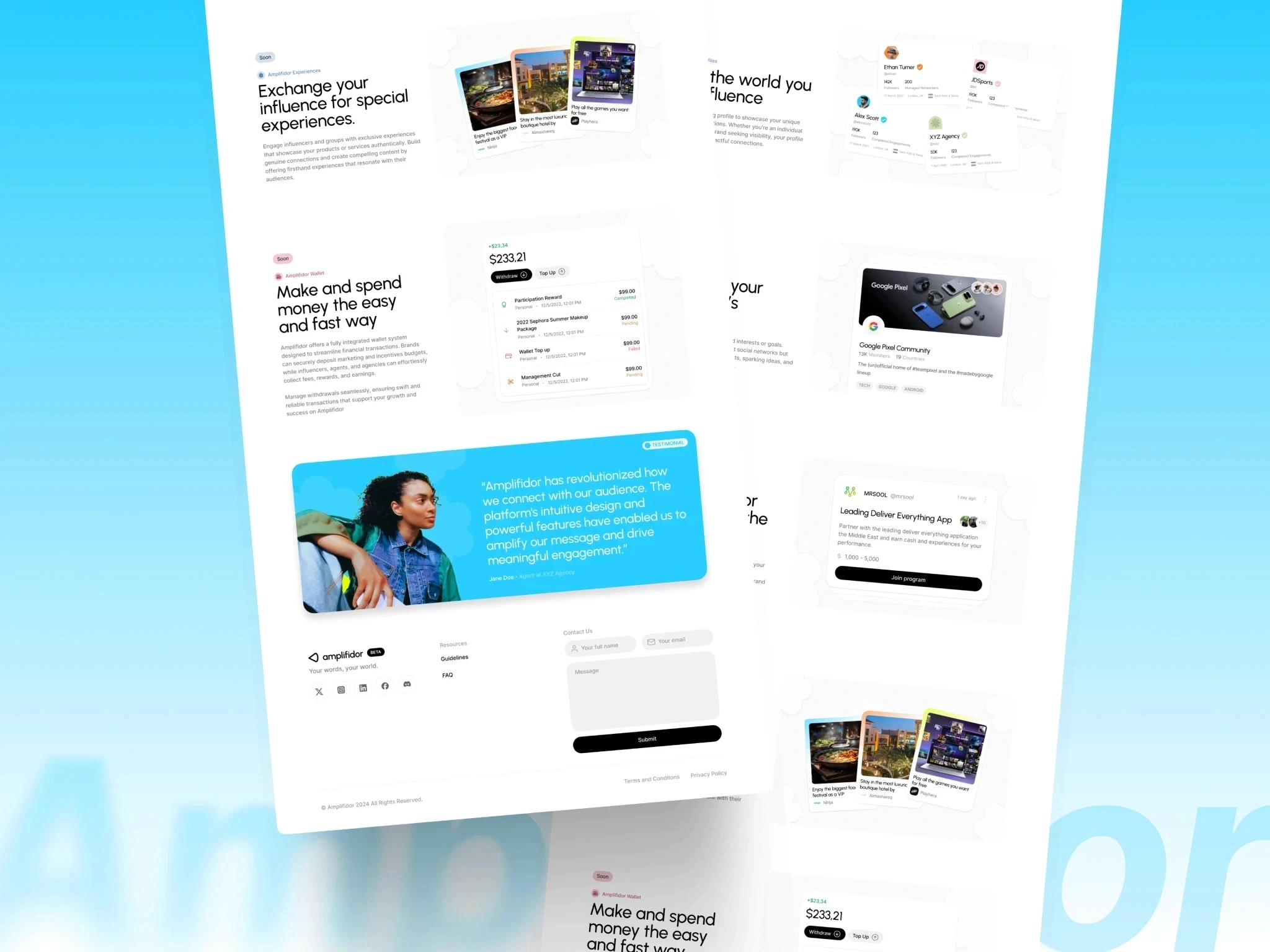 Amplifidor Website — Visuals Section visual 13