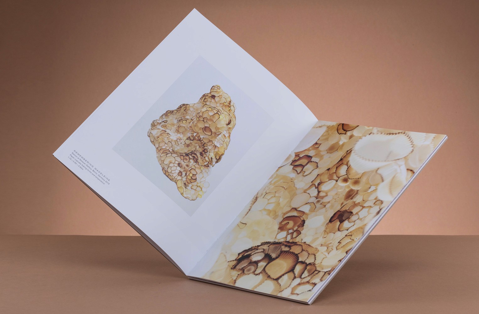 Artistic book showcasing detailed patterns in warm colors against a neutral background.