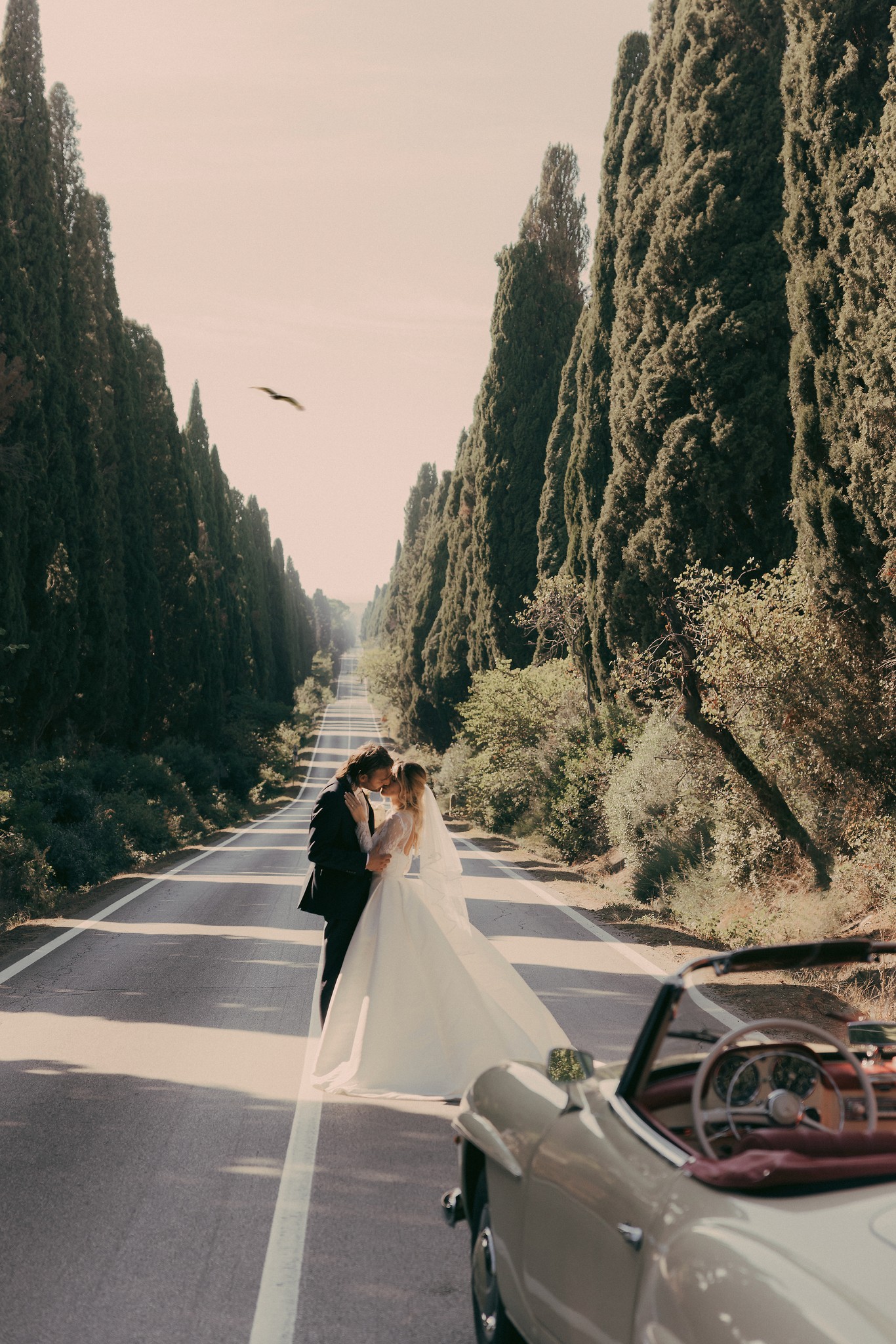 Sposi in abito bianco e nero sul Viale dei Cipressi a Bolgheri, in posa sulla Mercedes d'epoca con luce dorata del tramonto