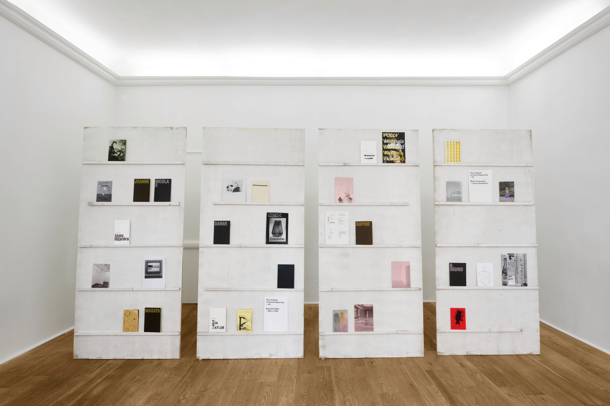 Nicholas Cheveldave exhibition &zines