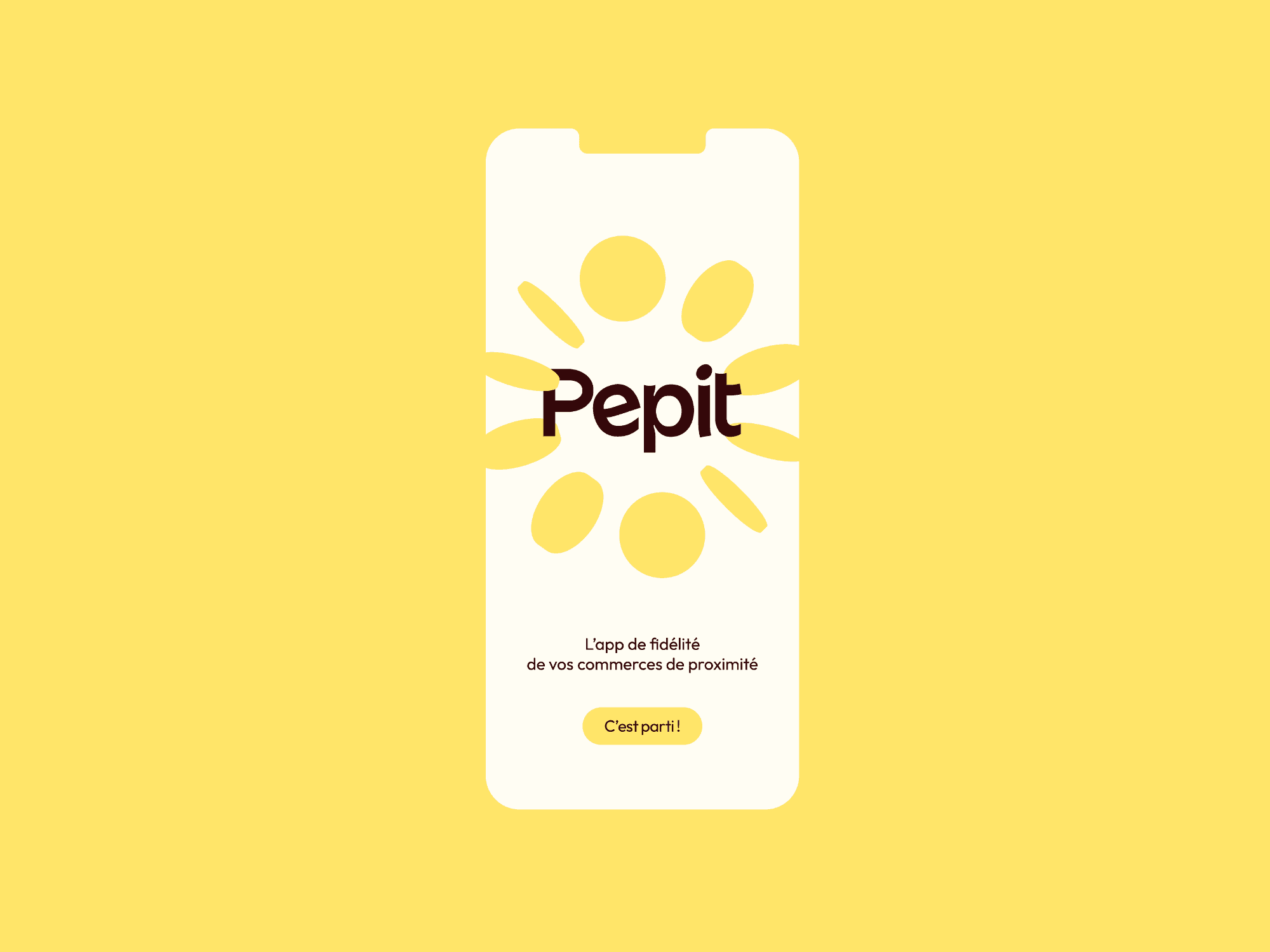 Dom Pérignon vineyards from the sky