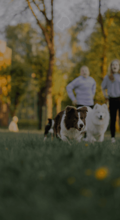 Scoop Busters. The Villages Florida Pet Waste Removal. Dog Scooping Service. Instant Price.