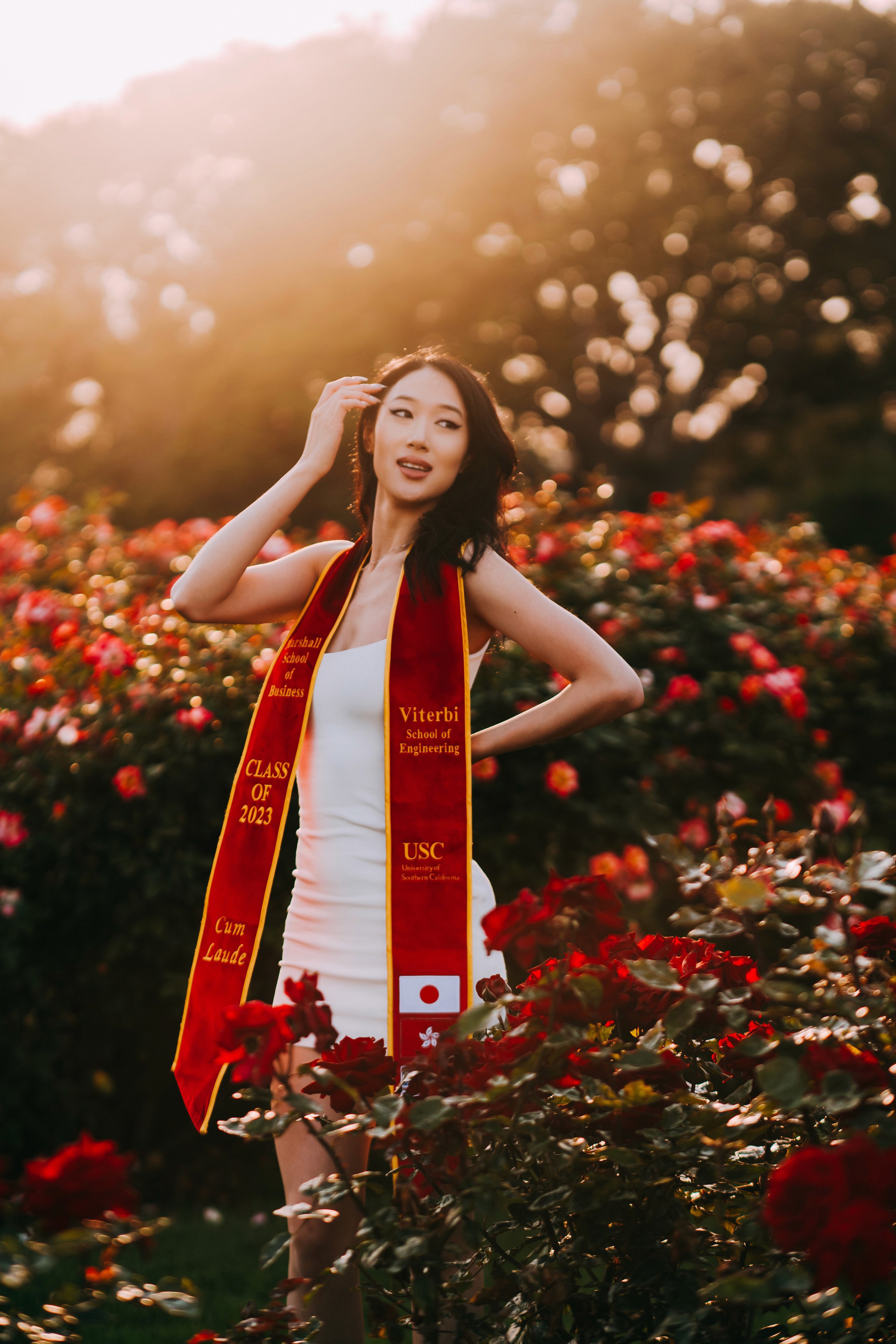 The image featured in the middle of the about us page