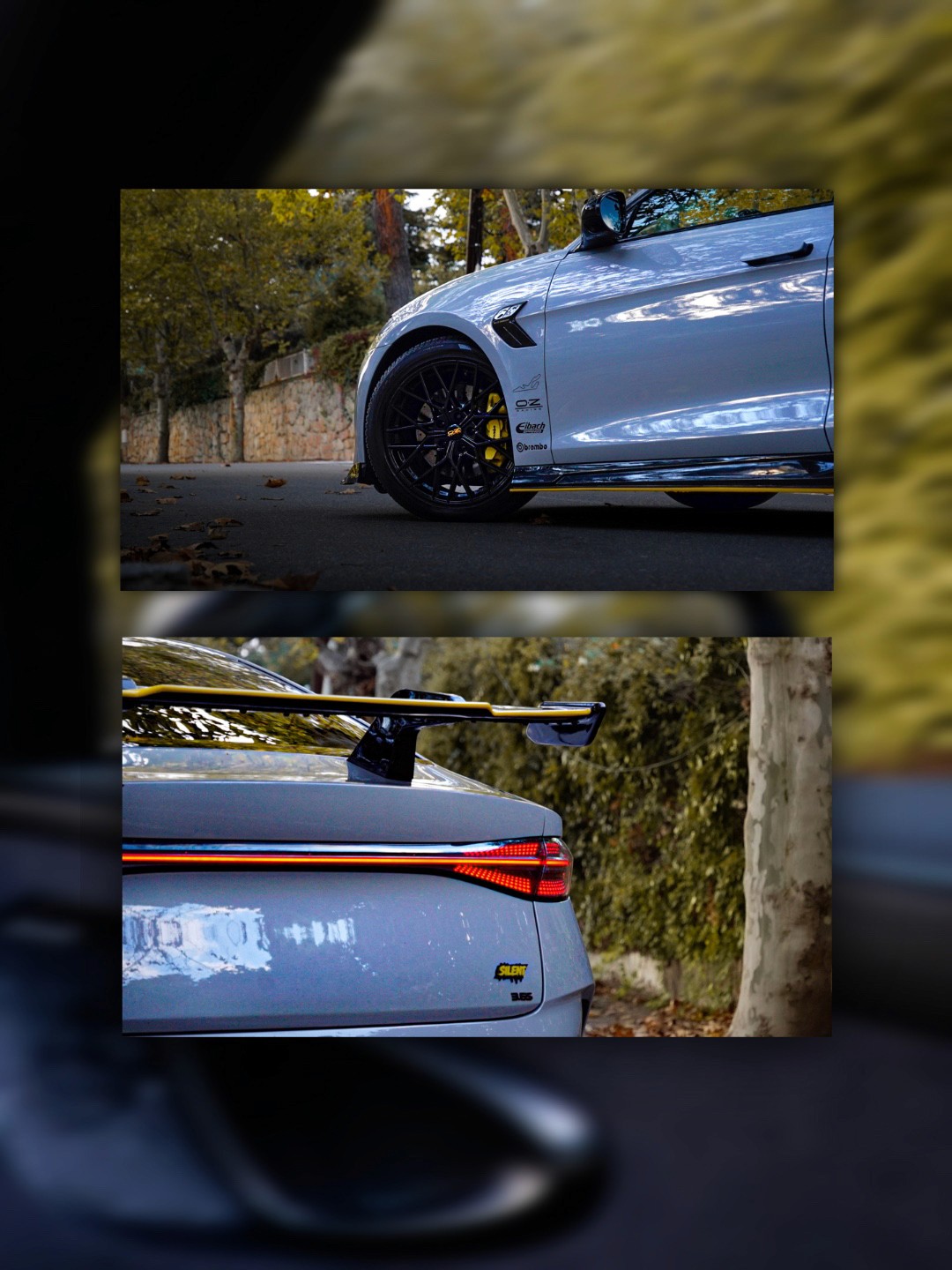 Project Gallery Image for 50% width of the screen #2