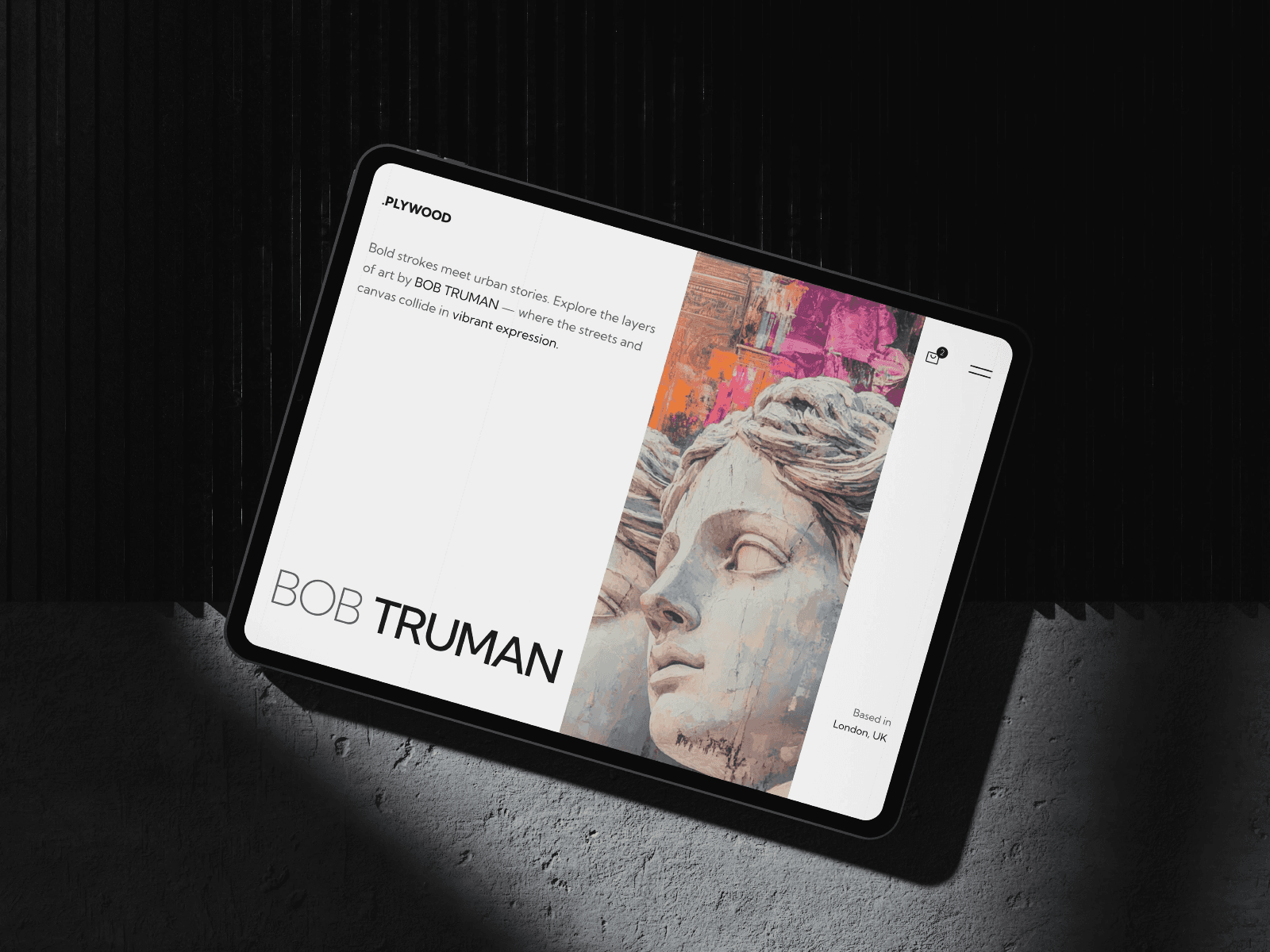 Artist Portfolio Framer Templates - Plywood - Artist Portfolio Template