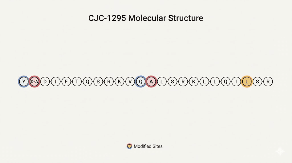 CJC-1295 peptide molecular structure with amino acid modifications