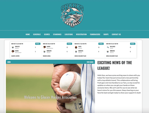 TeamLinkt's Website Template Screenshot