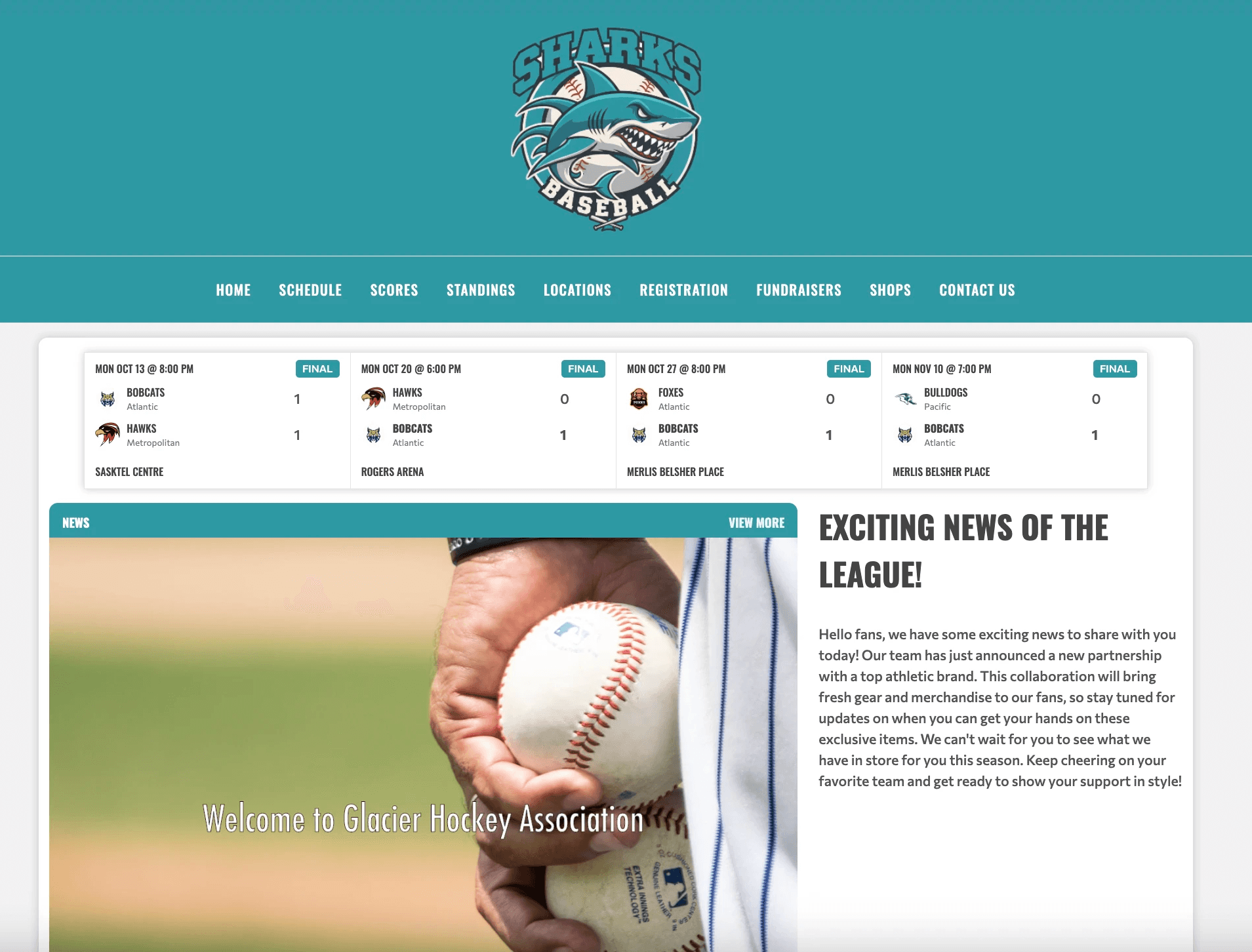 TeamLinkt's Website Template Screenshot