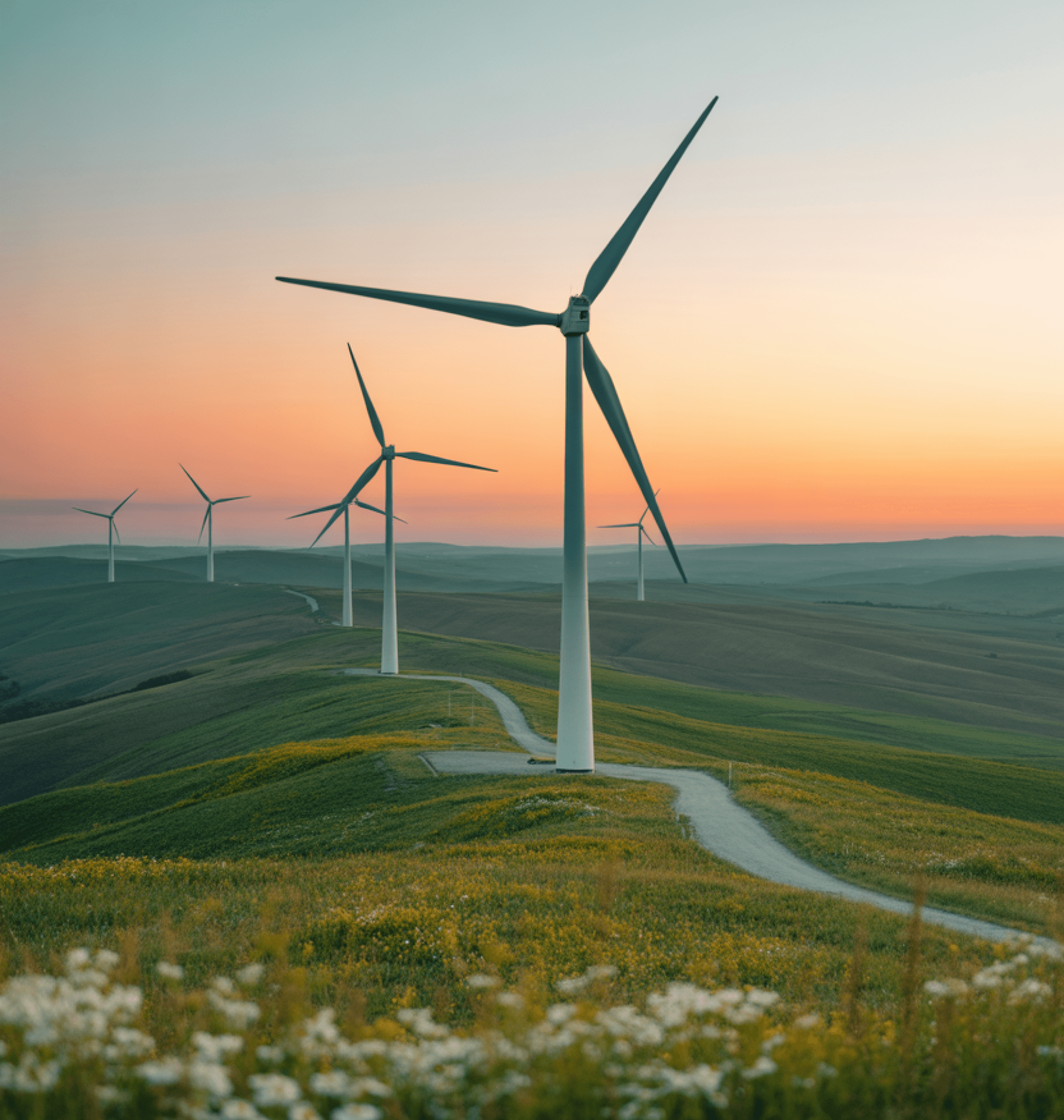 A row of wind turbines on rolling green hills during sunset, harnessing wind energy.