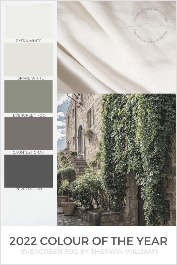 2022 paint colour of the year sherwin williams