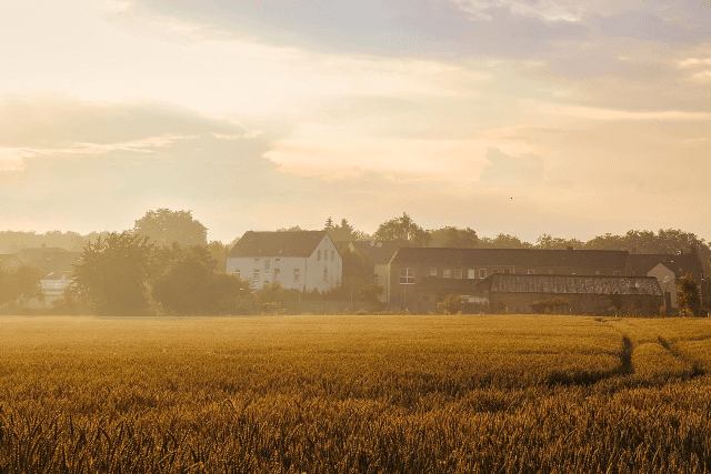 Dynamic picture of a cyclist riding downhill