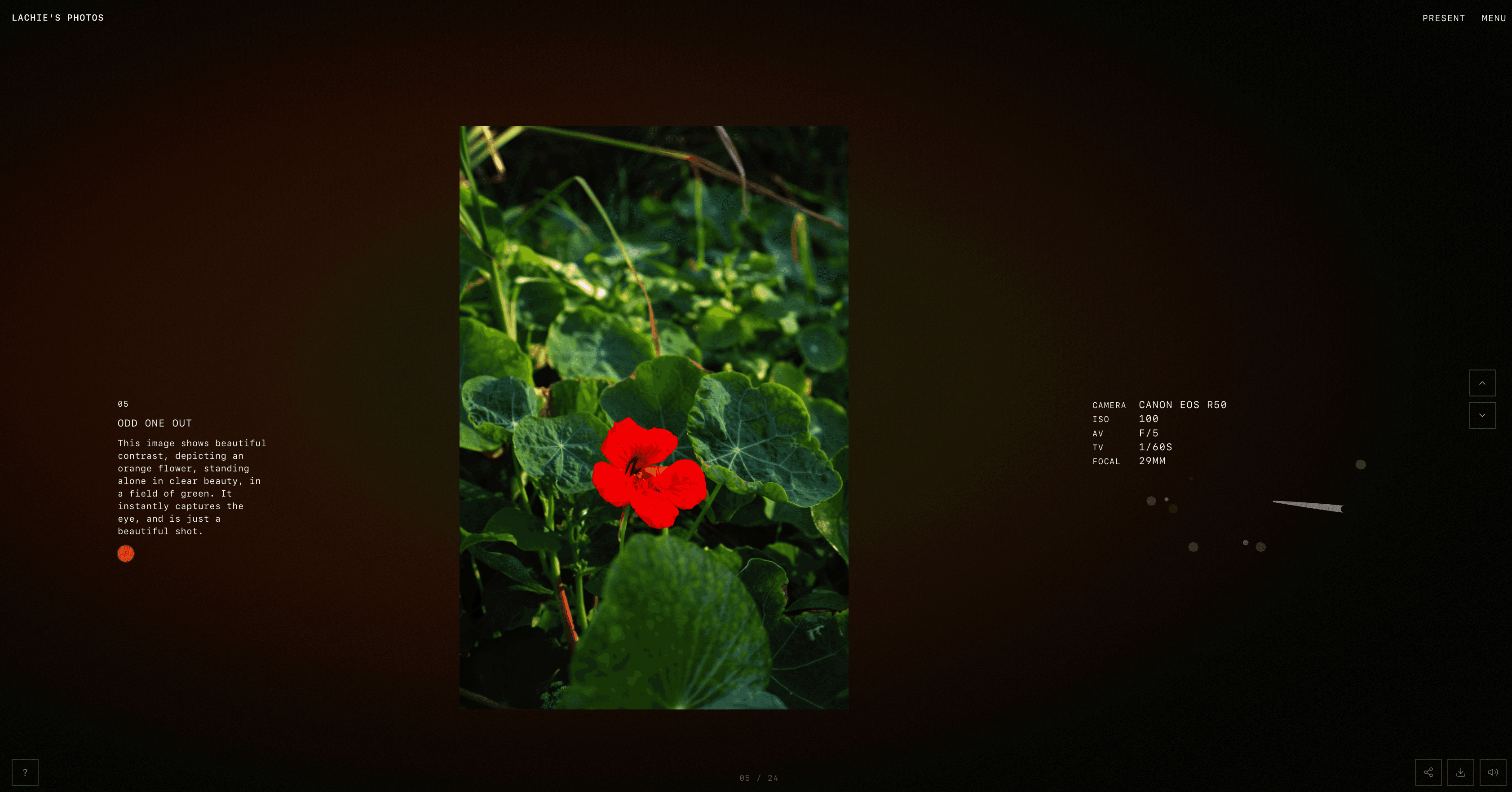 Feature Image