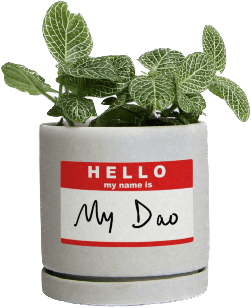 Plant Potted - My Dao Designer Portfolio
