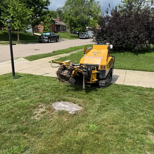 Stump grinder in a yard
