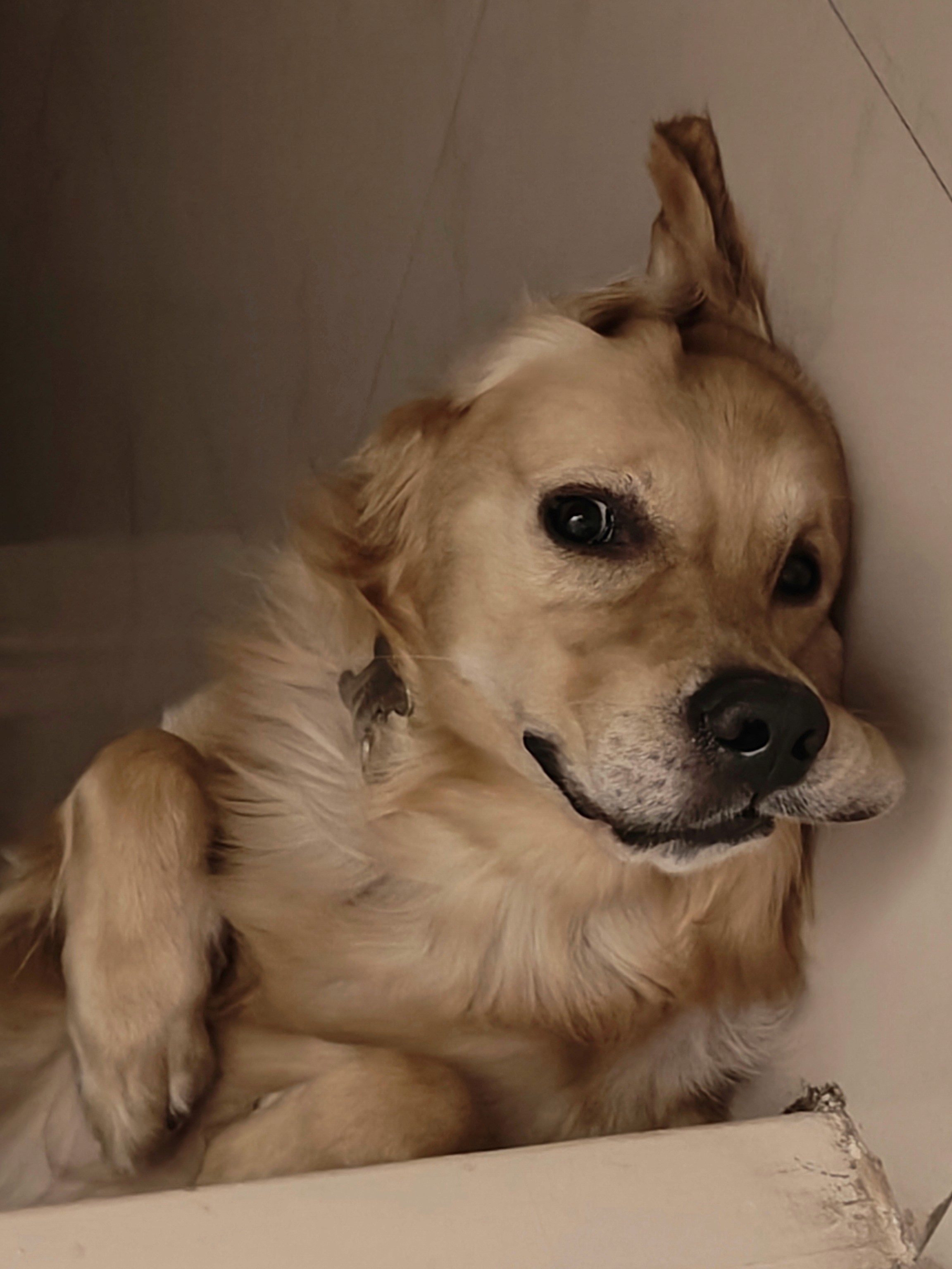 Making payments transparent and convenient for investors on Tyke