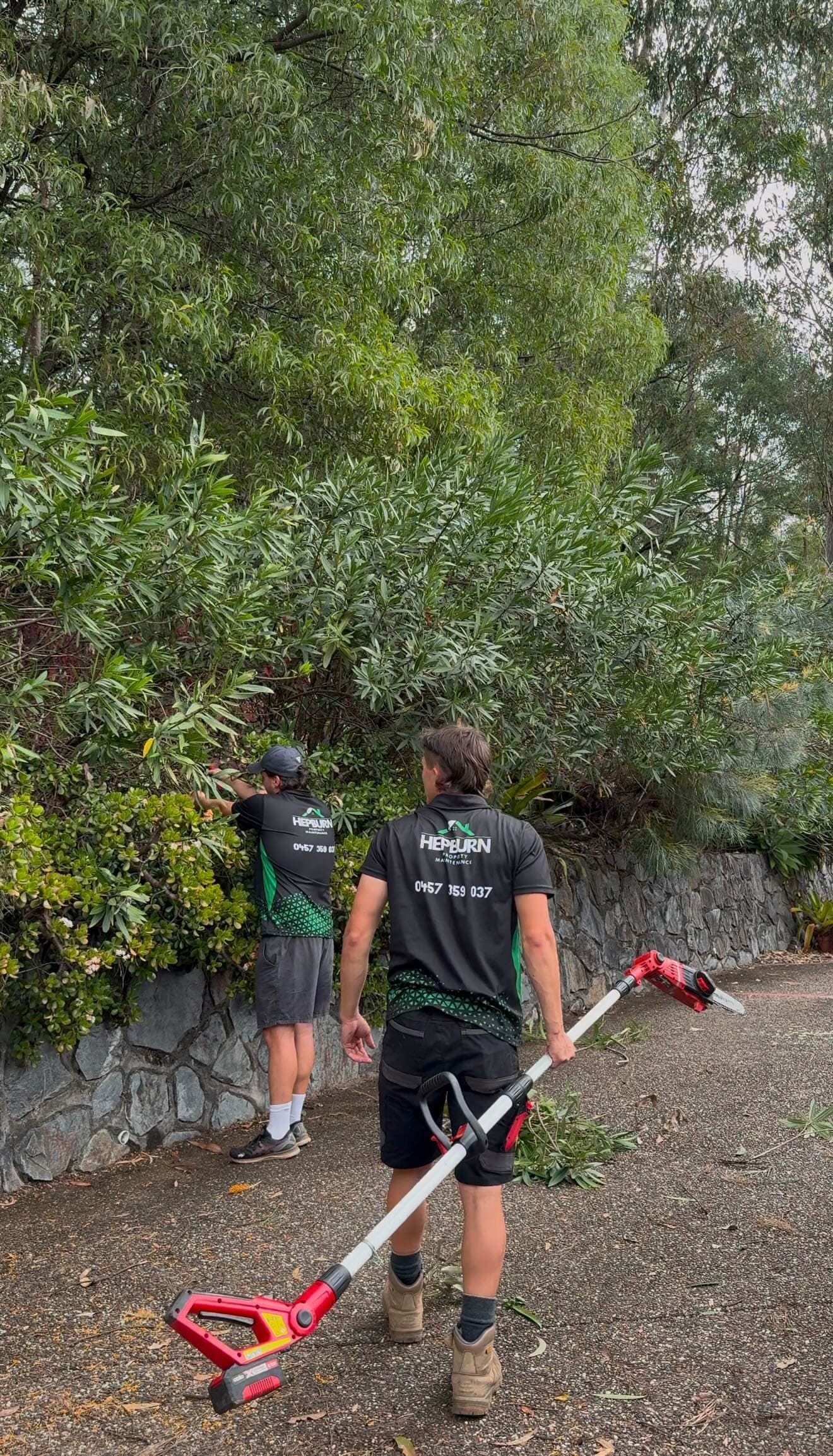 Hepburn Property Maintenance team completing hedge trimming and pruning service residential property Gold Coast