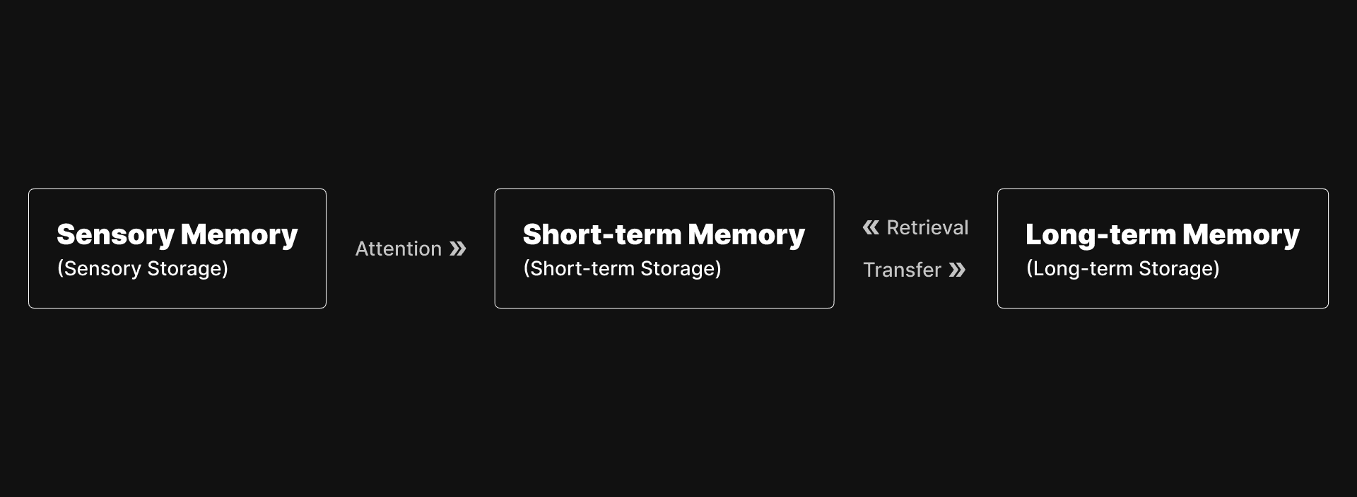 Multistore Model of Human Memory