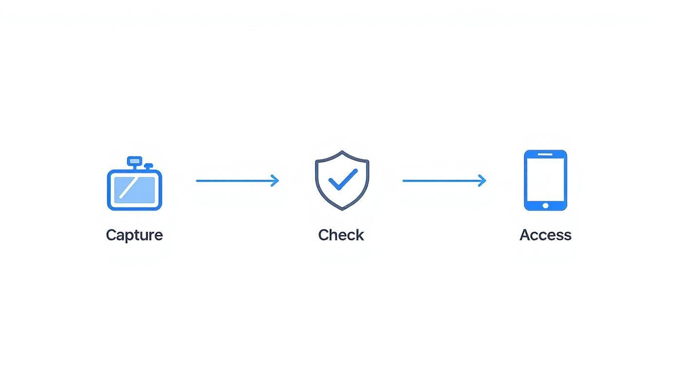 Infographic about time tracking for lawyers