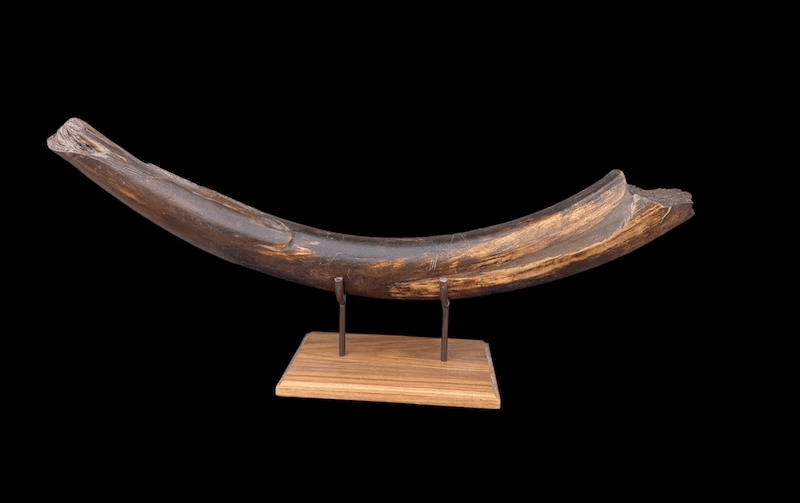 Woman wearing layered crimson and gold necklaces, posing against a deep red background