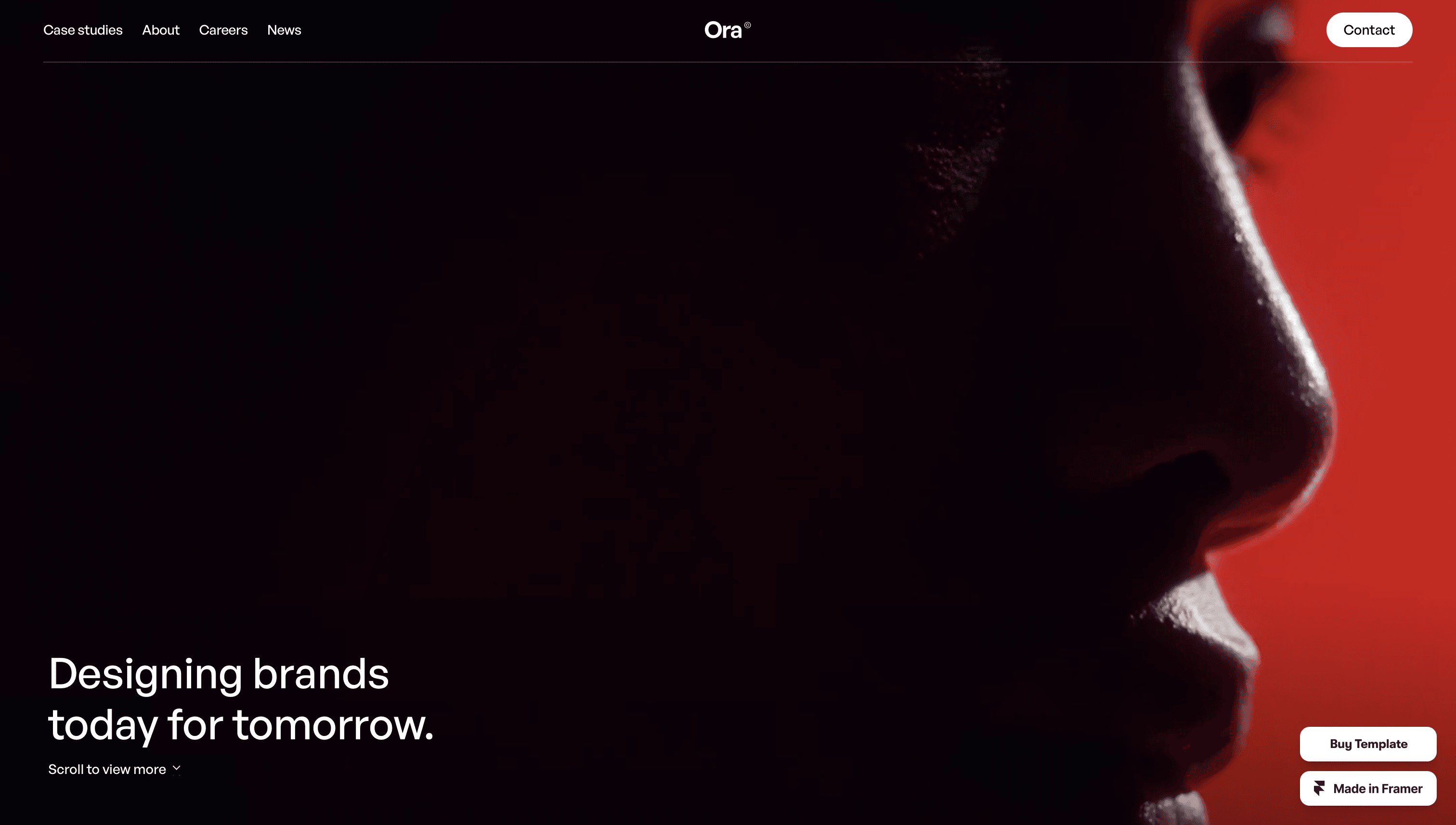 agency website template