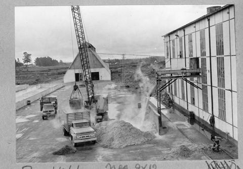 Proceso de extracción de la remolacha azucarera en la industria, IANSA.