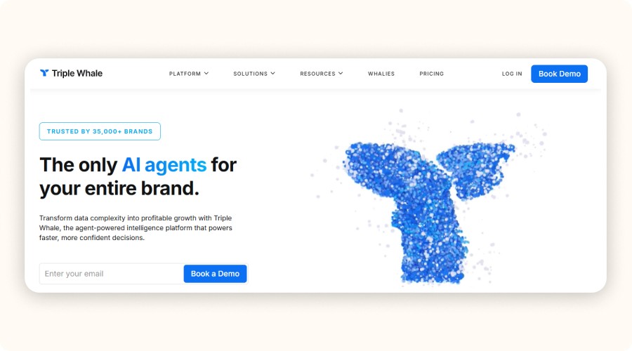 Triple Whale homepage
