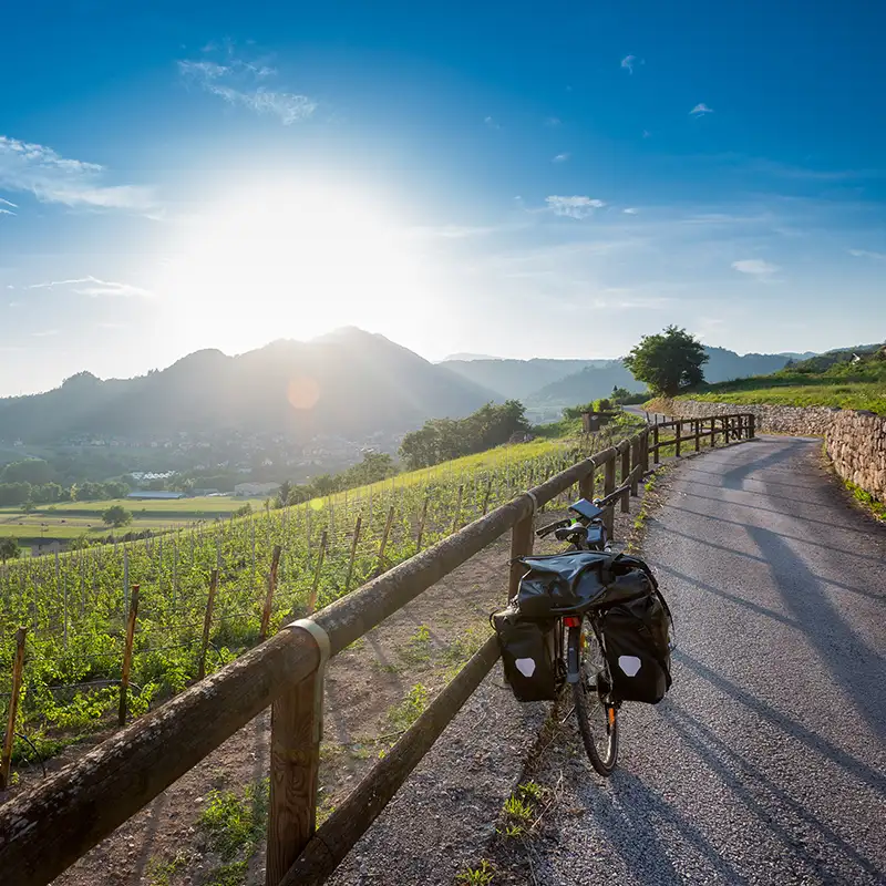 Vinsafari på sykkel - i Italia | Expa Travel