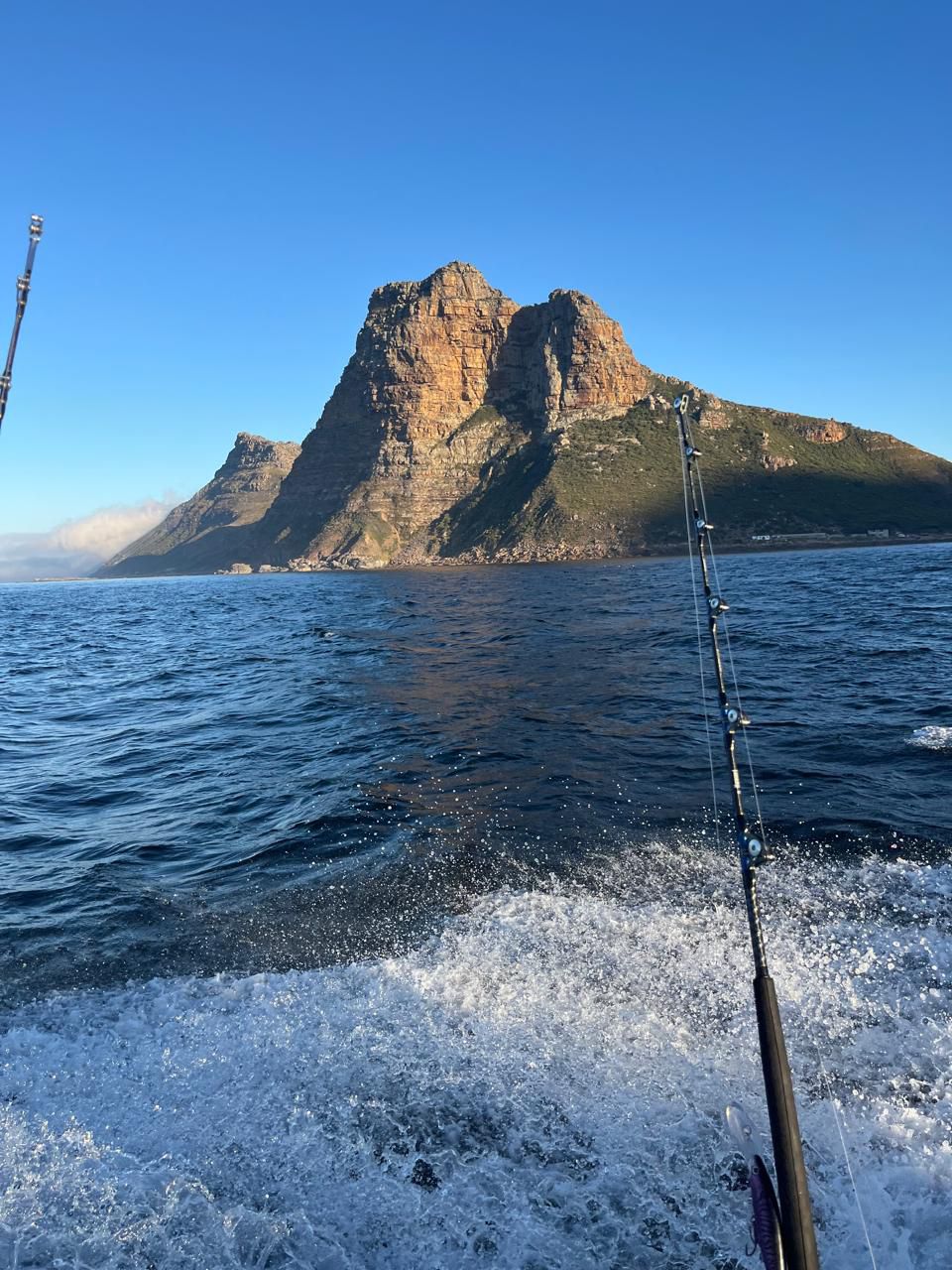 View from the boat looking out over Hout Bay and the Cape mountains.