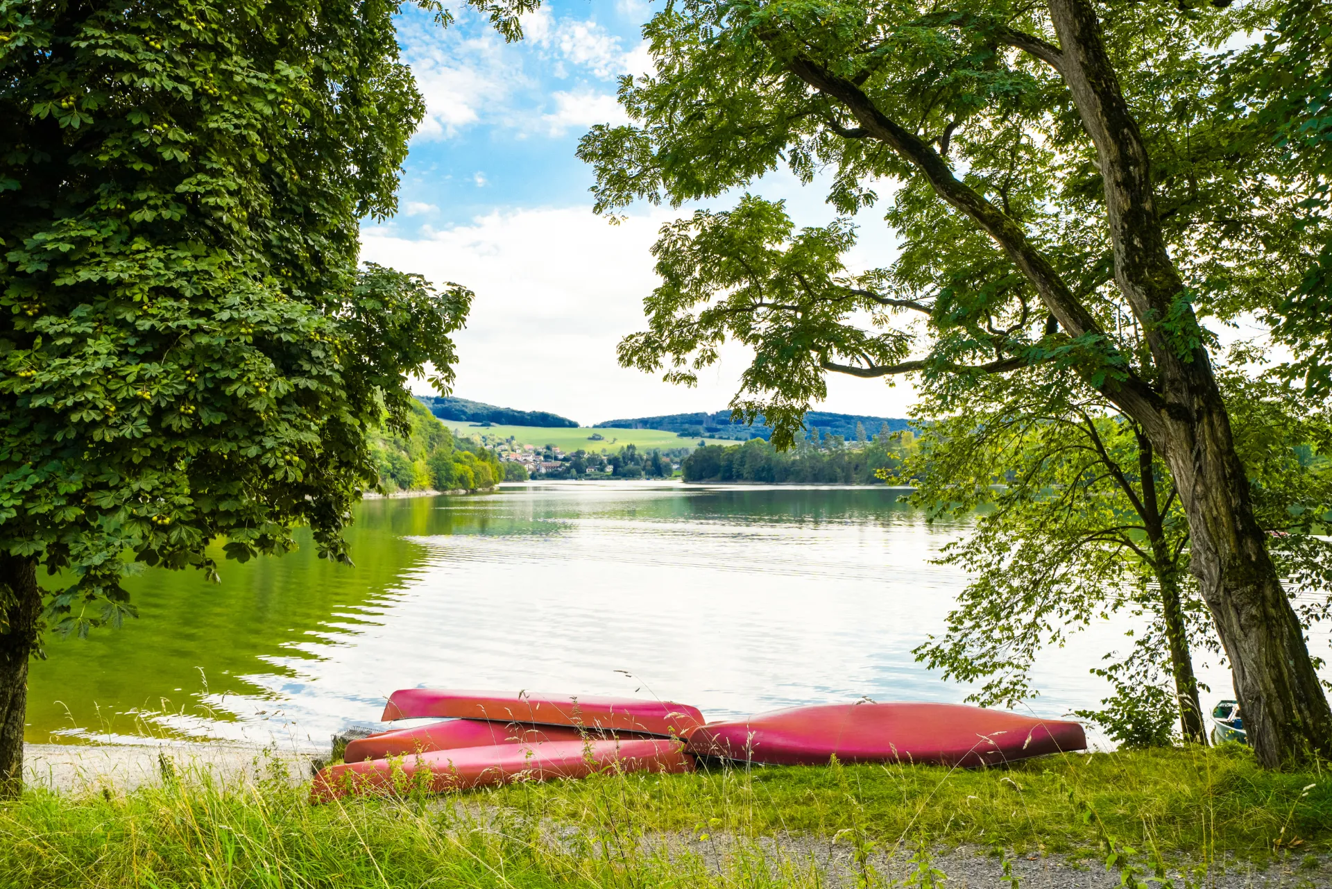 Ein See in Hessen der von Bäumen und einem Wald umgeben ist.
