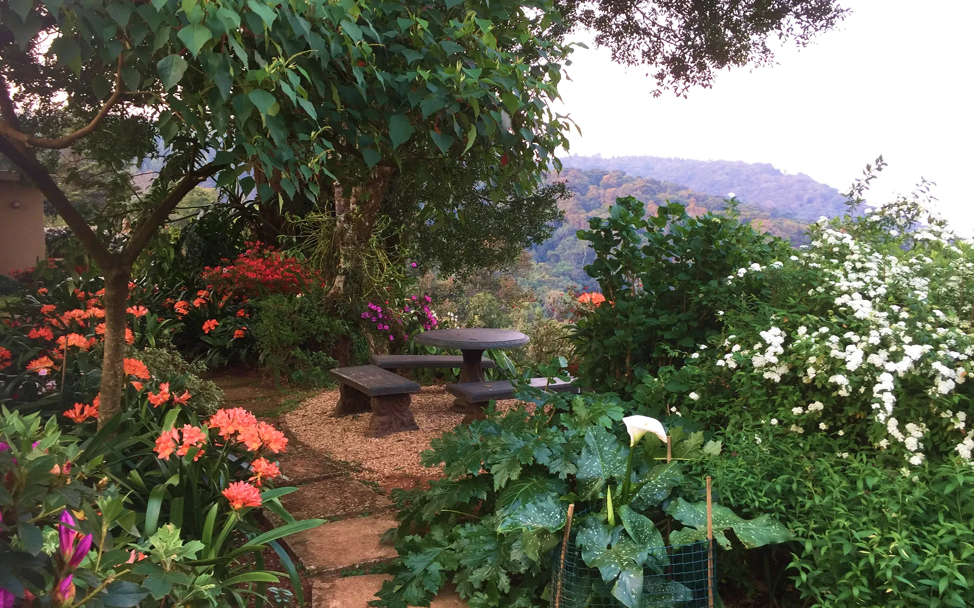 Kuhestan Organic Farm