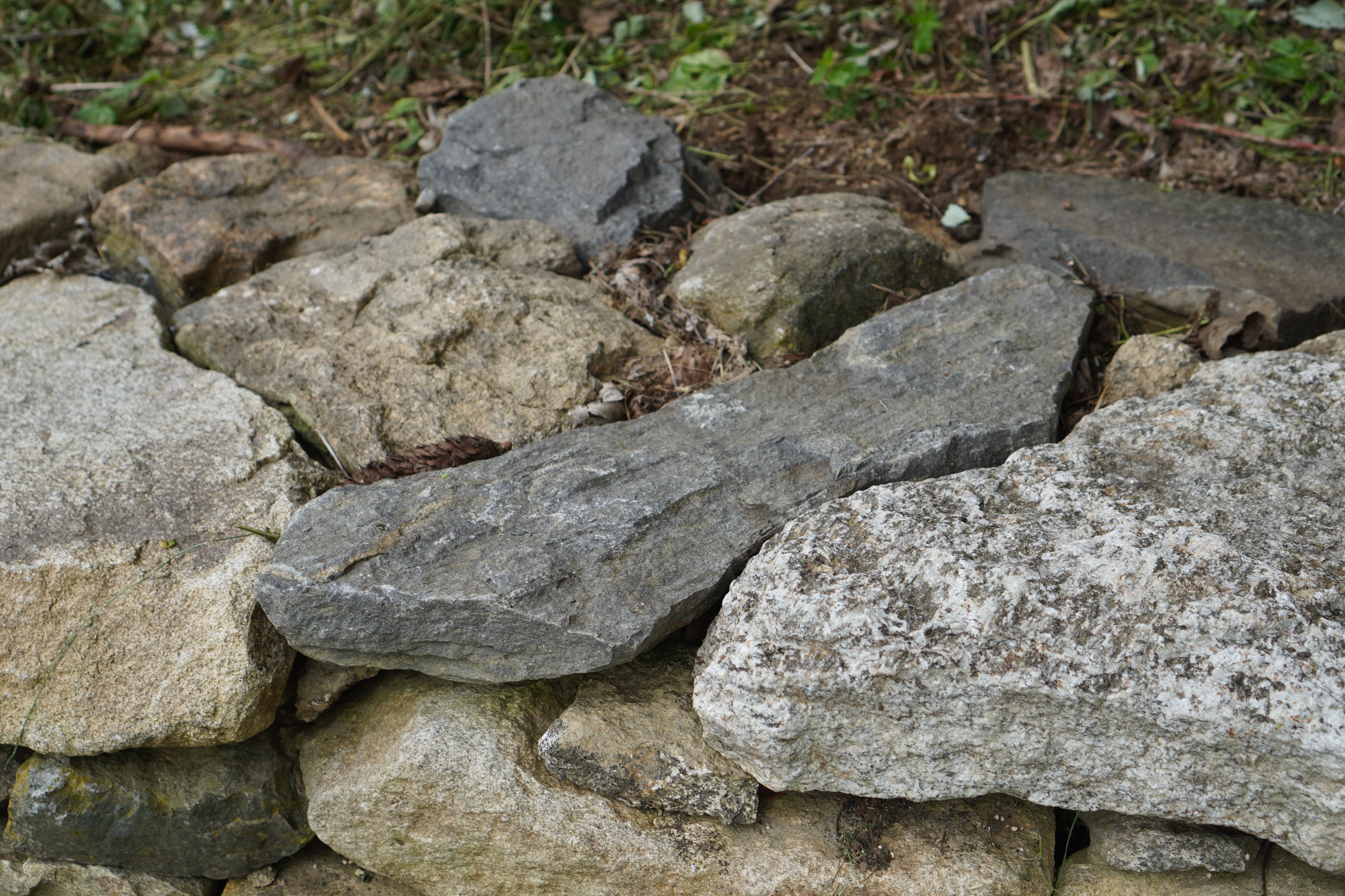 Profilbild Mauerkopf