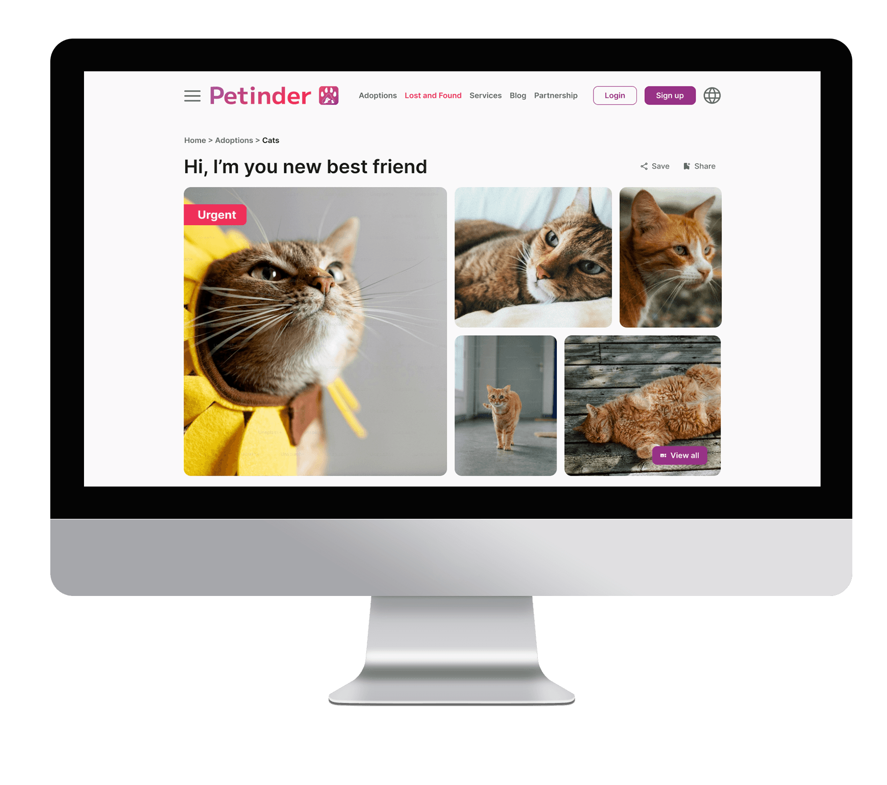 The image shows a computer screen displaying a pet adoption website called "Petinder." The interface features a profile page for a cat available for adoption, with the title "Hi, I'm your new best friend." A large image of a cat wearing a yellow costume is marked as "Urgent," indicating priority for adoption. Additional images of the cat are shown in a grid layout. The website includes navigation options such as "Adoptions," "Lost and Found," "Services," "Blog," and "Partnership," with "Login" and "Sign up" buttons in the top right corner. The design uses a white background with pink and purple accents.